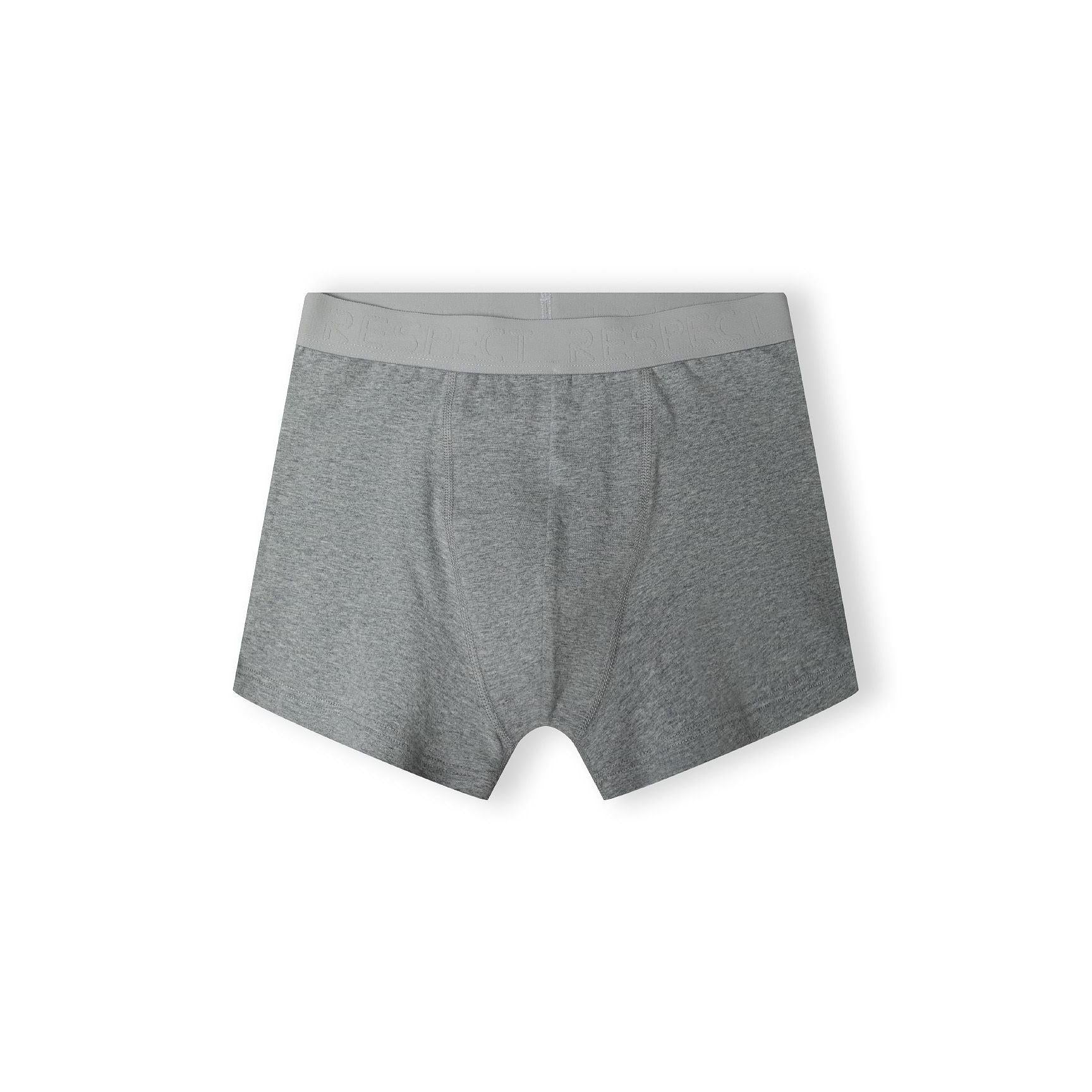 Single grey cotton boxer shorts with contrasting waistband and functional design on white background