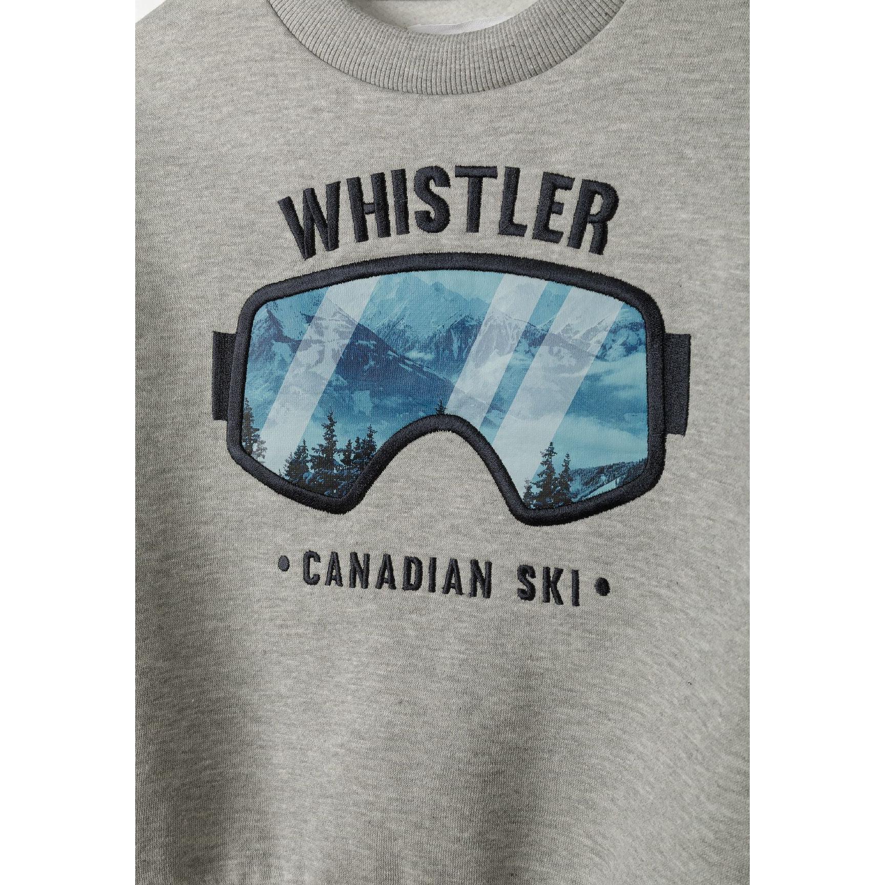 Close-up detail of Whistler Canadian ski goggles graphic featuring mountain landscape reflection in blue and black design on grey fabric