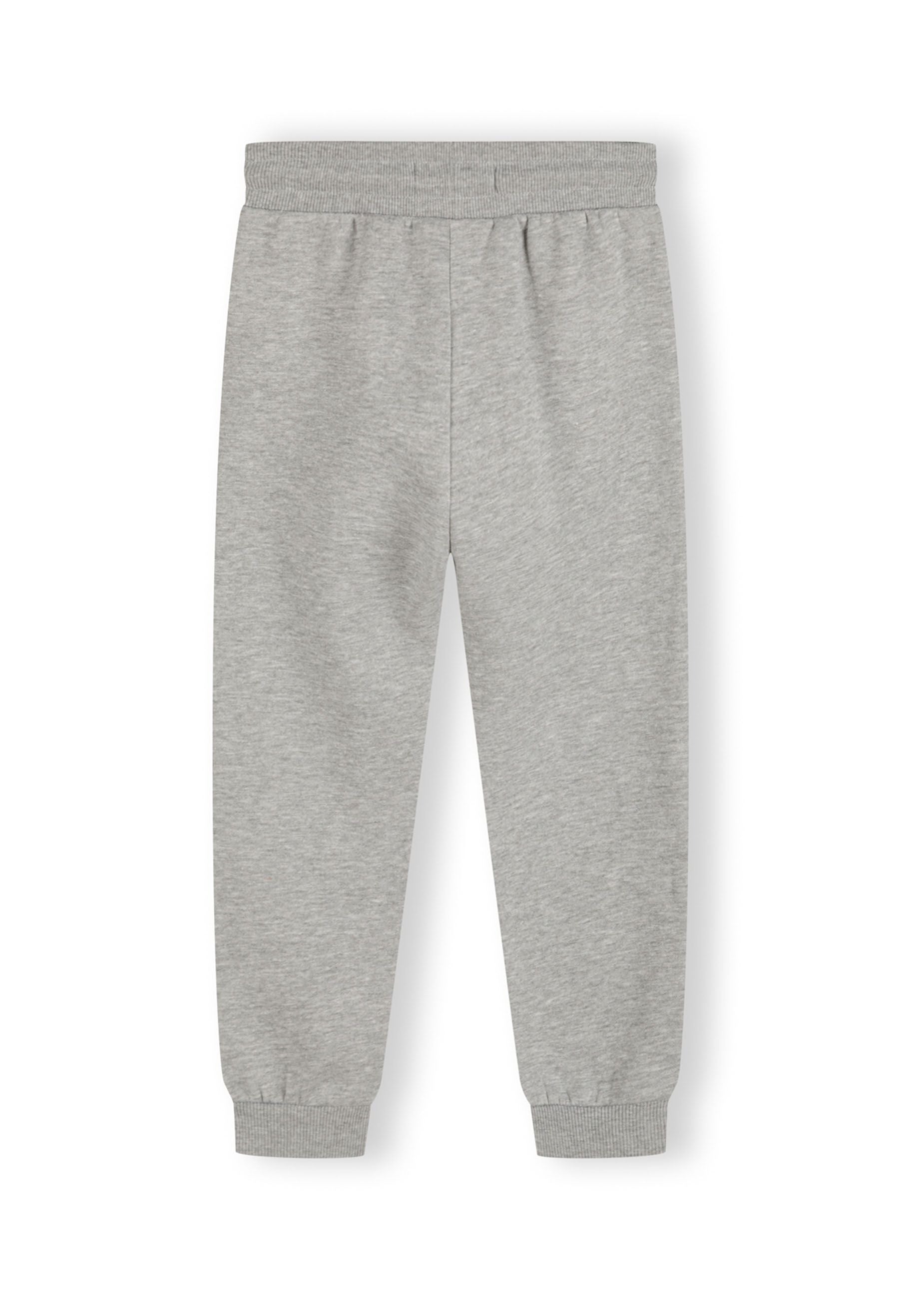 Boys joggers in grey with ribbed cuffs and drawcord, back view.