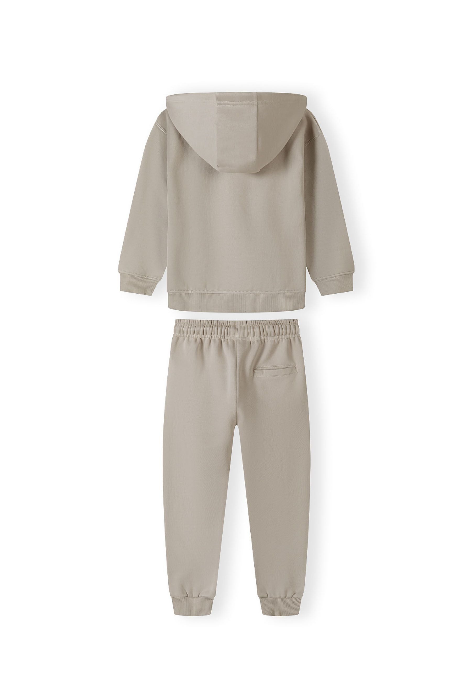 Boys hoodie and joggers set in grey, back view, features ribbed hems and ankle cuffs.