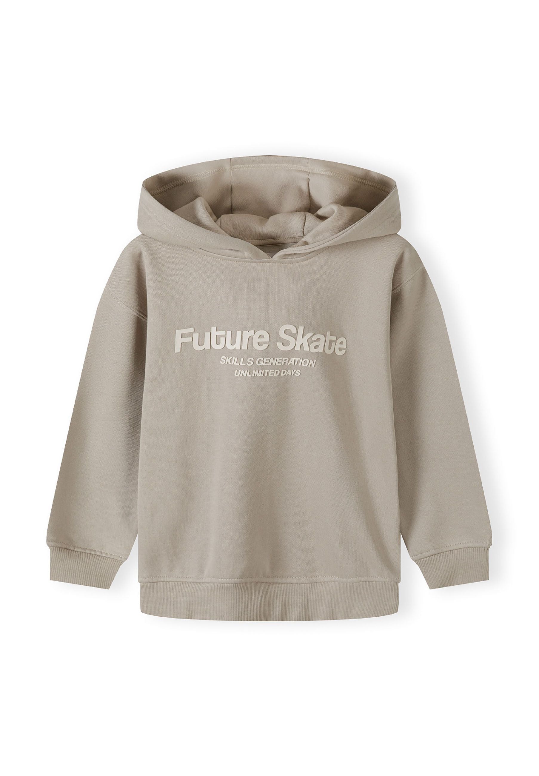 Boys hoodie in grey with 'Future Skate' print, front view, ribbed hem.