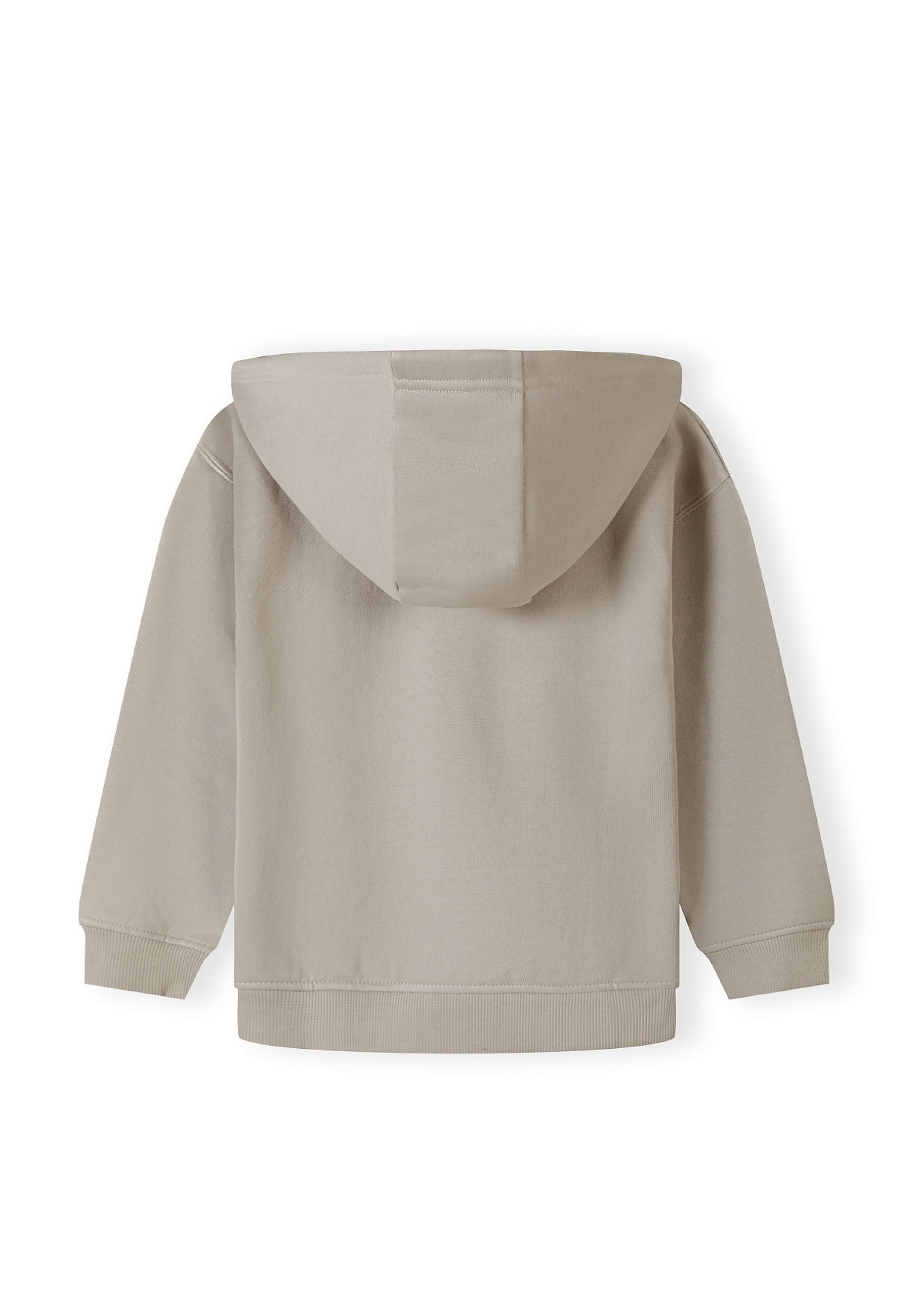 Boys hoodie in grey, back view with a hood and ribbed hem.