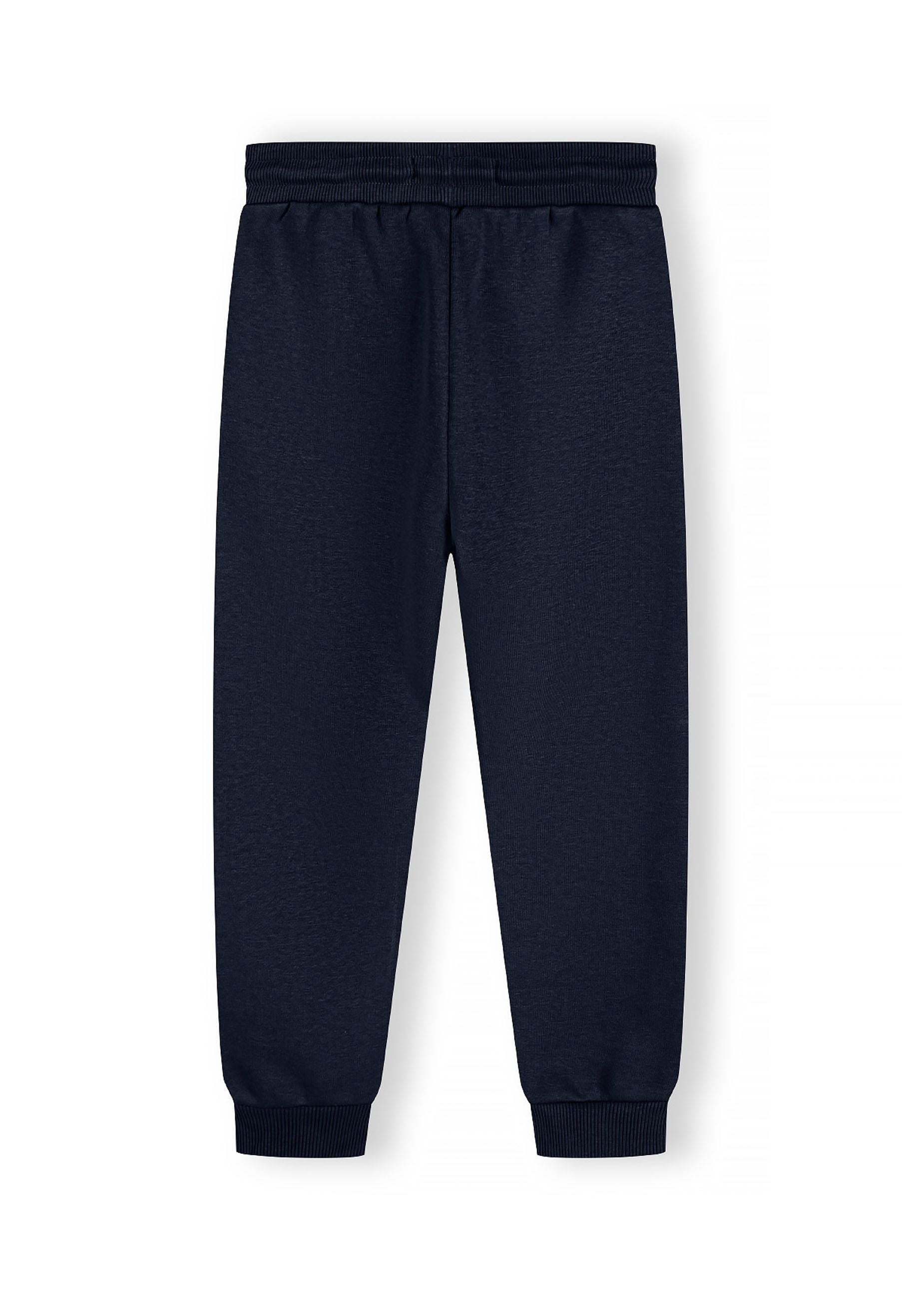 Boys joggers in navy with ribbed cuffs and adjustable drawcord, back view.