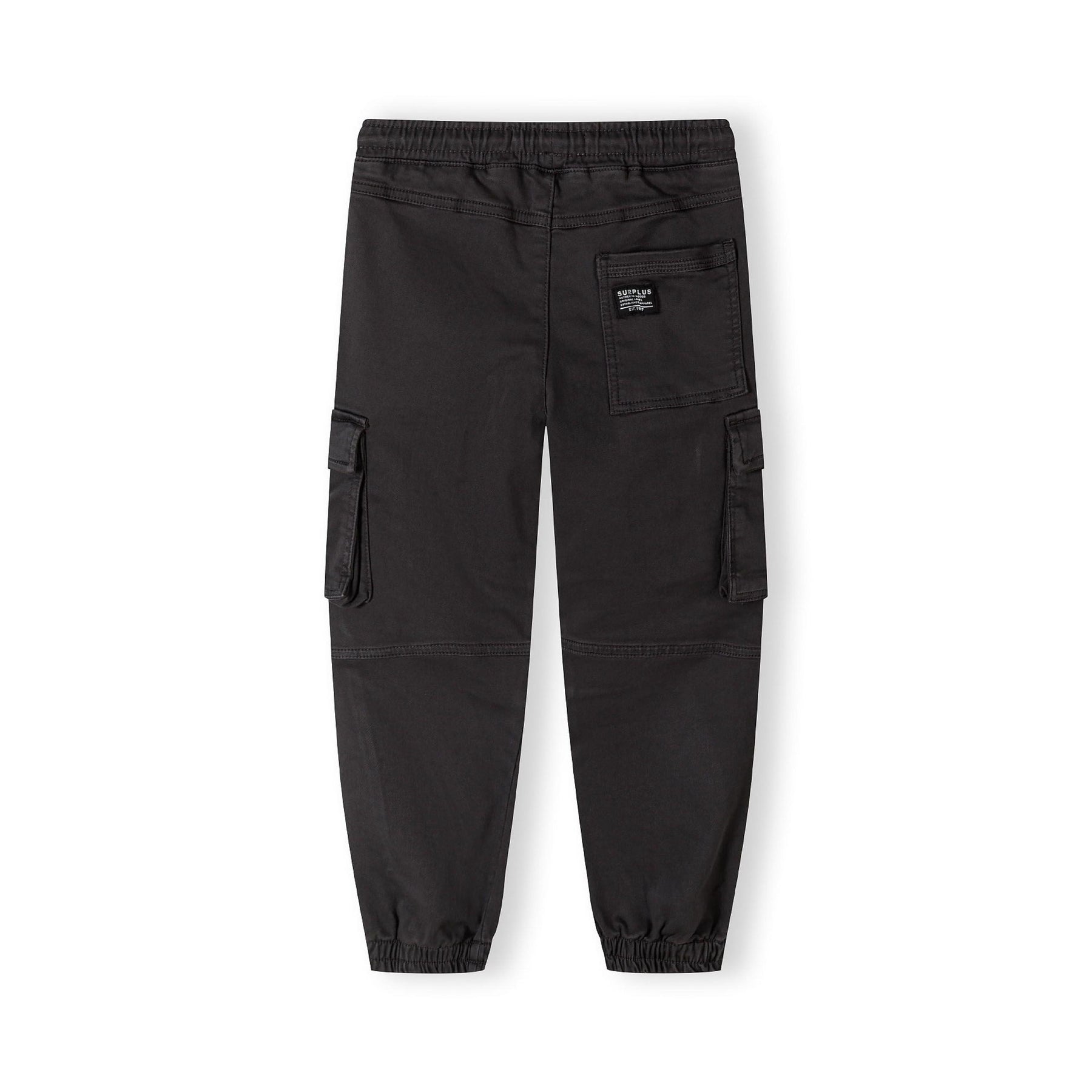 Back view of grey cargo trousers showing rear pocket with brand label and side cargo pockets on white background