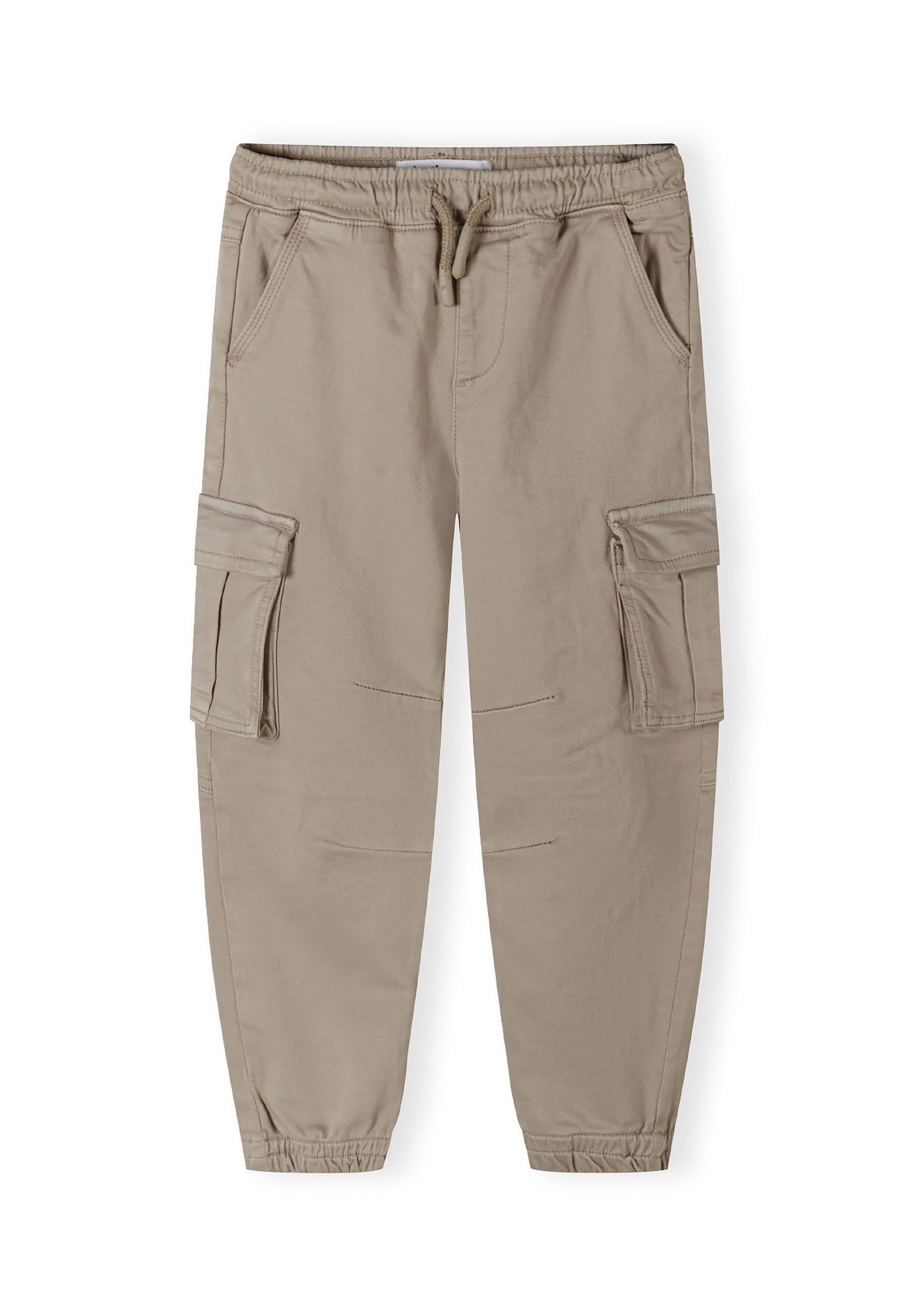 Boys cargo trousers with elasticated waistband, grey, front view, featuring cargo pockets and ribbed cuffs.