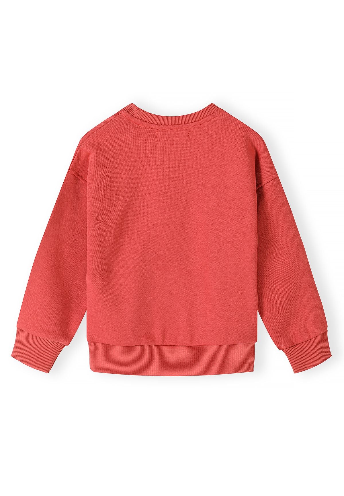Back of plain red sweatshirt with dropped shoulders and ribbed cuffs and hem.