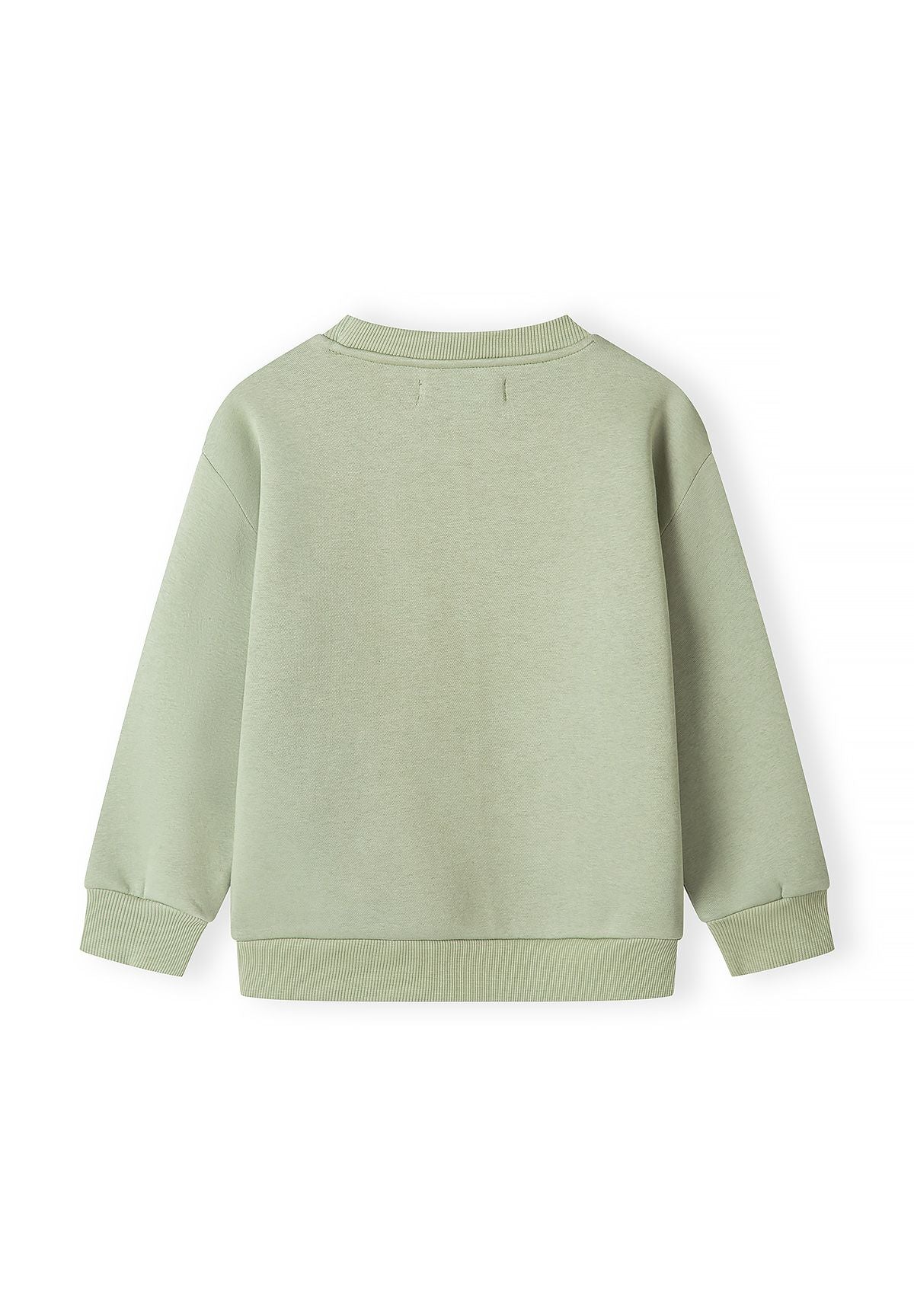 Lichtgroene en zwarte sweatshirts met print voor kinderen (set van 2), lichtgroene sweatshirt, achterkant.