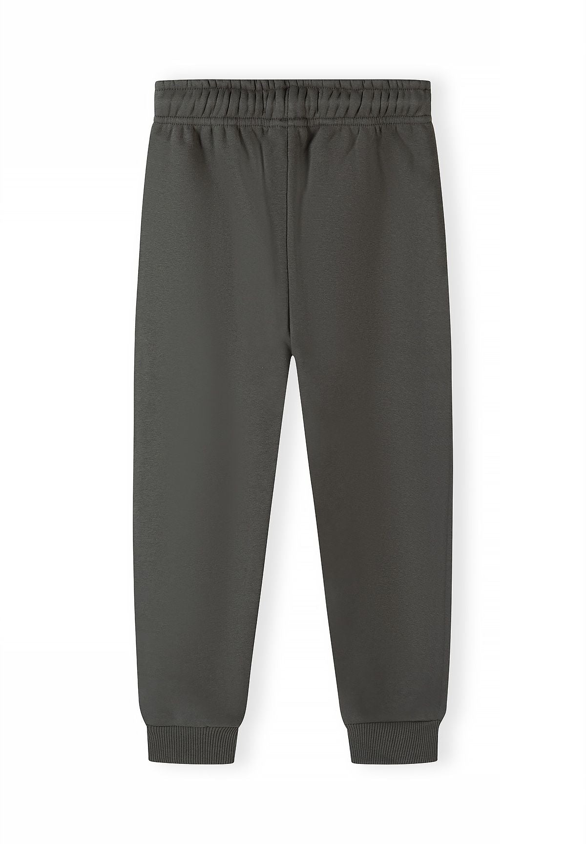 Plain rear view of olive-grey joggers with elastic waistband and ribbed ankles.