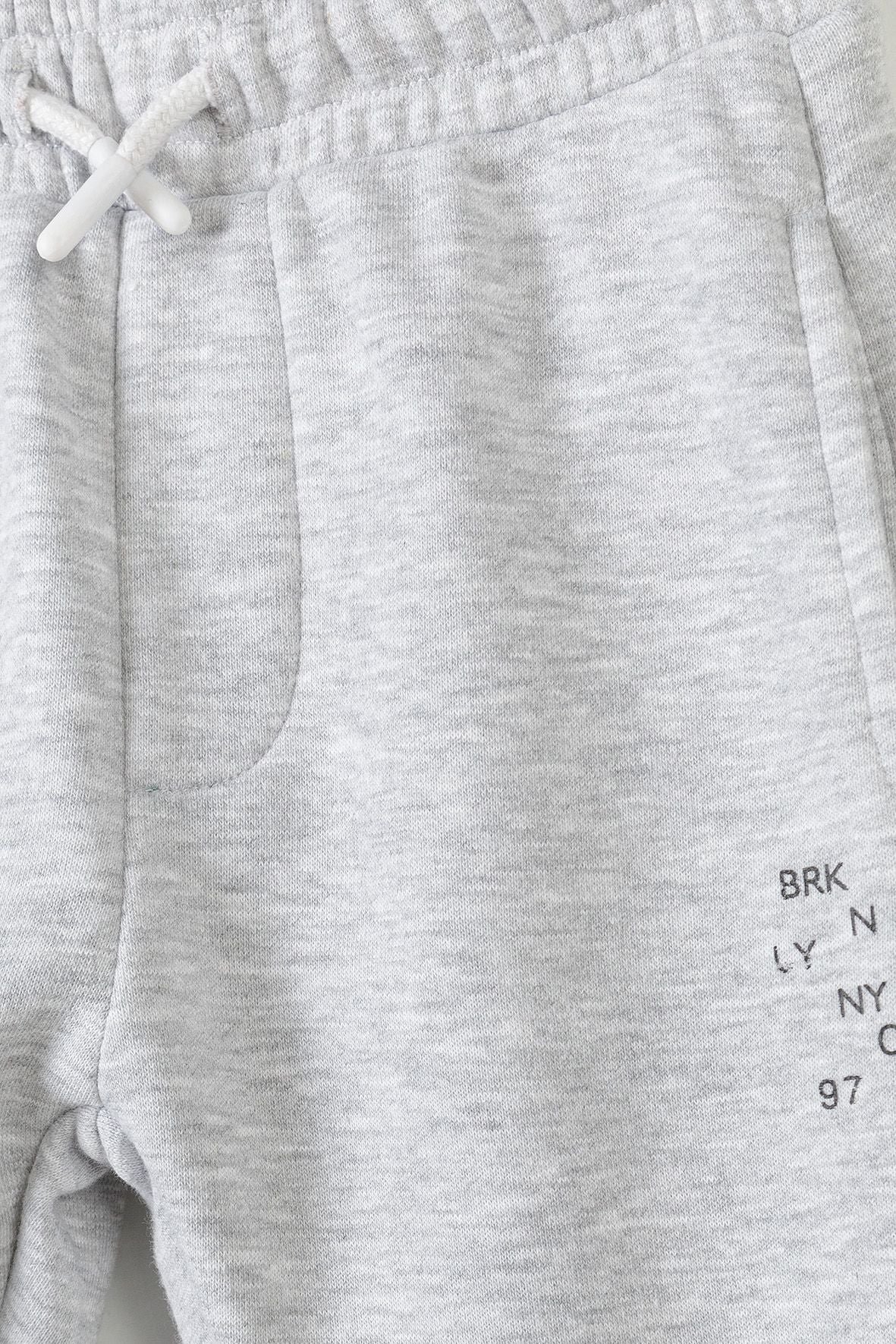 Fleece Joggers, Grey, Brooklyn Print - 3