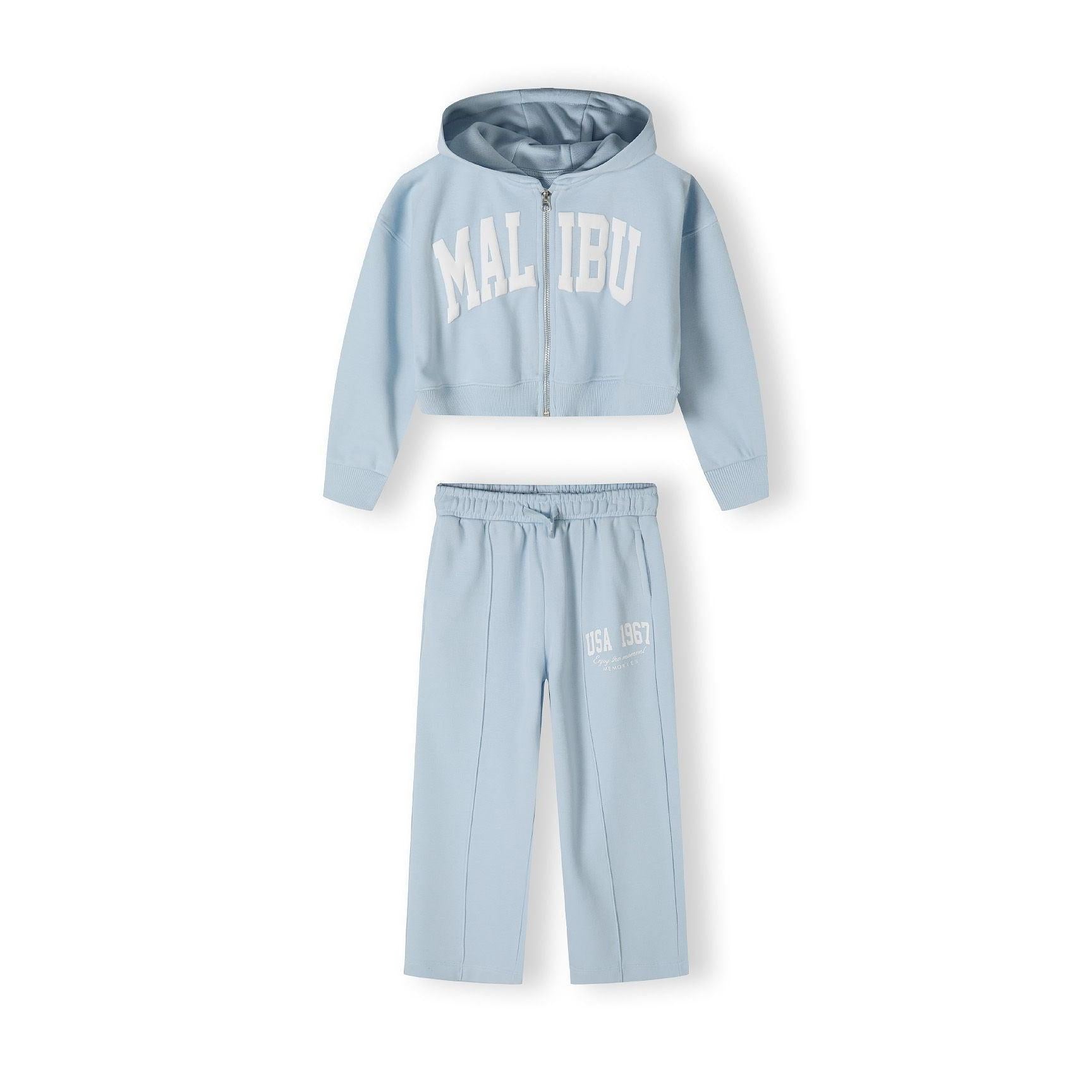 Back view of light blue cropped zip hoodie with hood laid flat against white background showing rear design