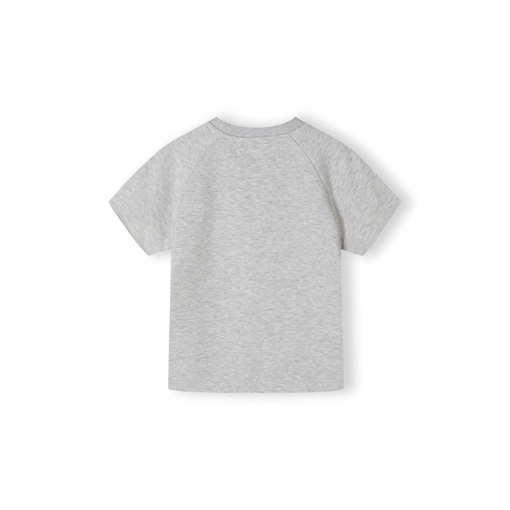 Back view of grey jersey t-shirt showing plain back design with raglan sleeves and ribbed crew neckline on white background