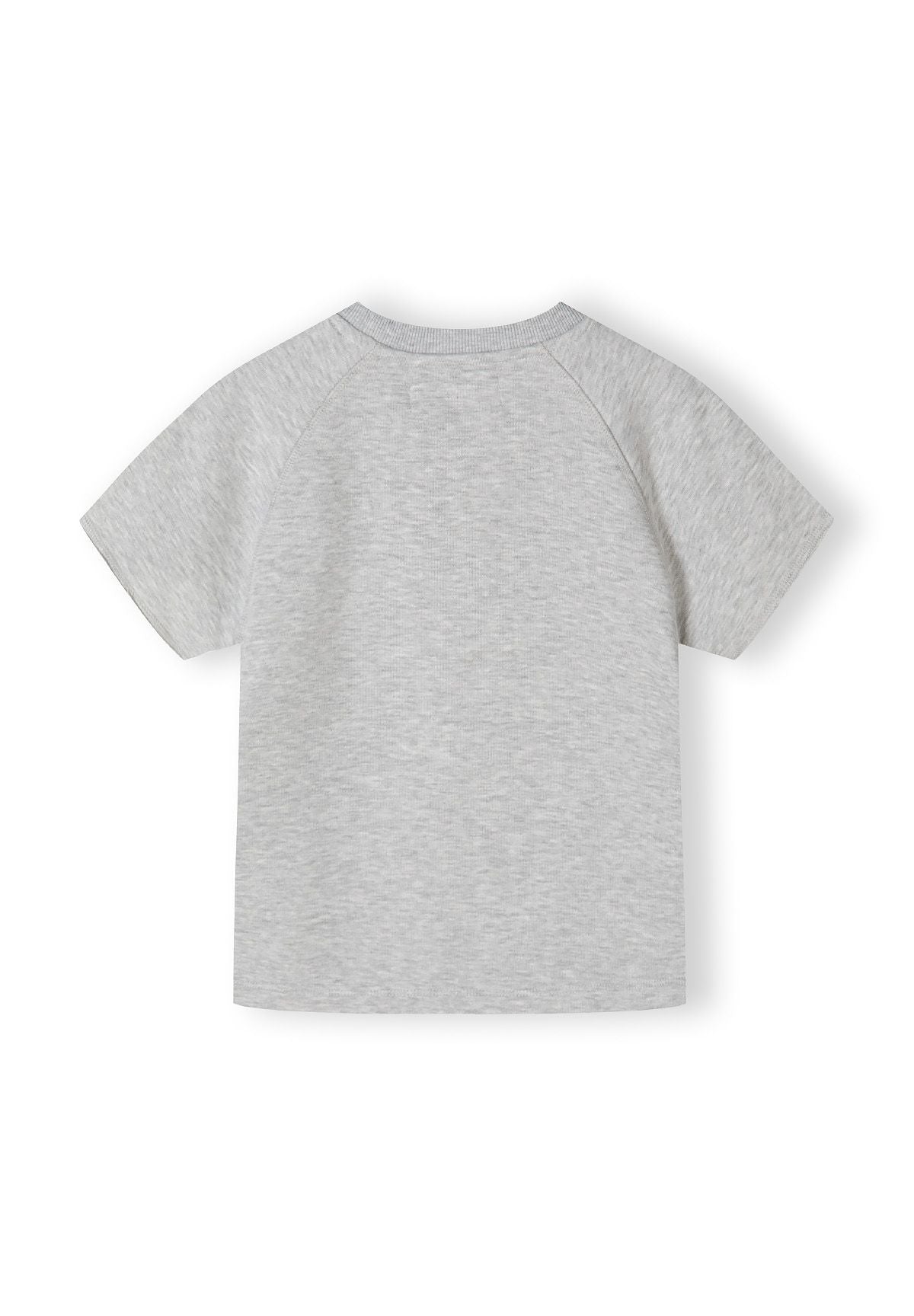 Boys grey short sleeve t-shirt back view with raglan sleeves.