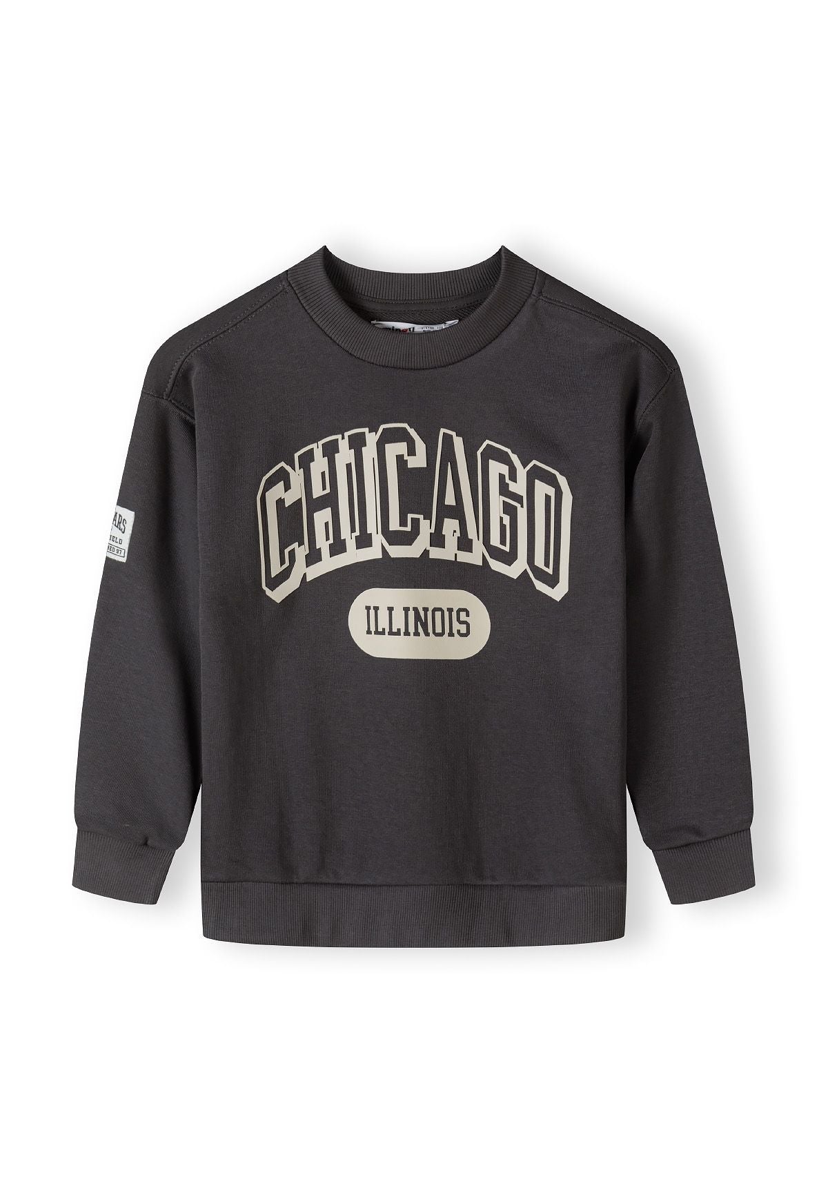 Boys grey fleece crew neck sweatshirt with decorative print, front view.