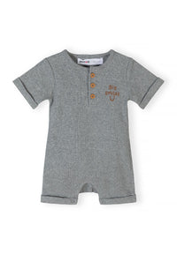 Color: Gris jaspeado