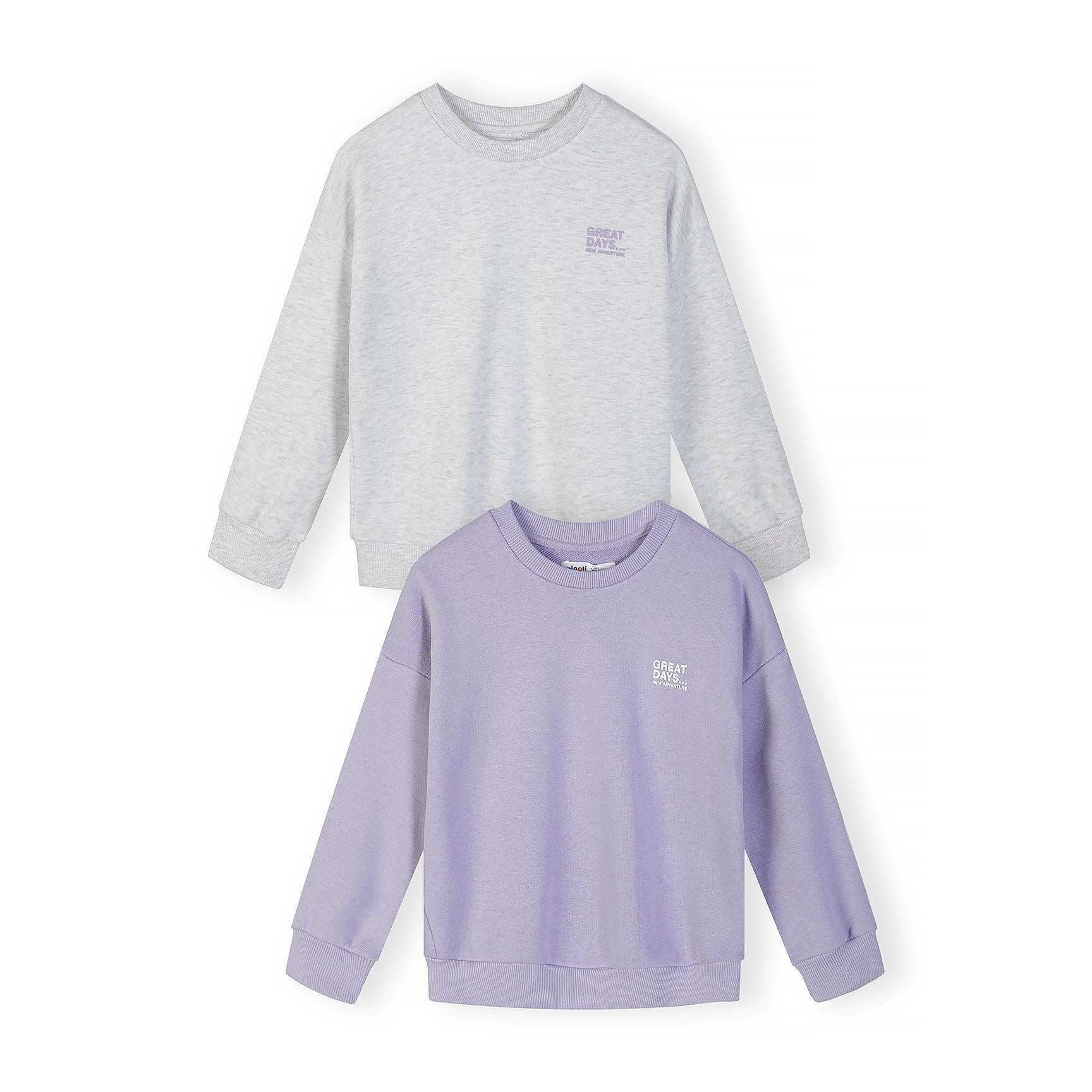 Back view of lilac purple sweatshirt laid flat showing plain design and ribbed neckline