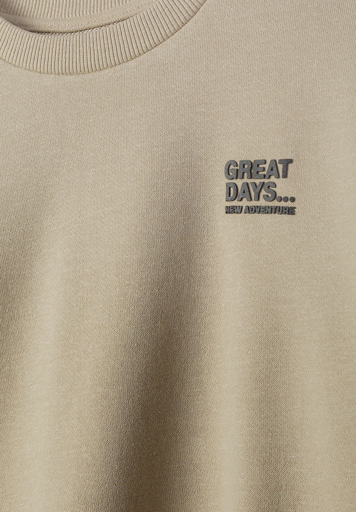 Close-up of beige sweatshirt's Great Days... Next Adventure chest print and ribbed crew neck.