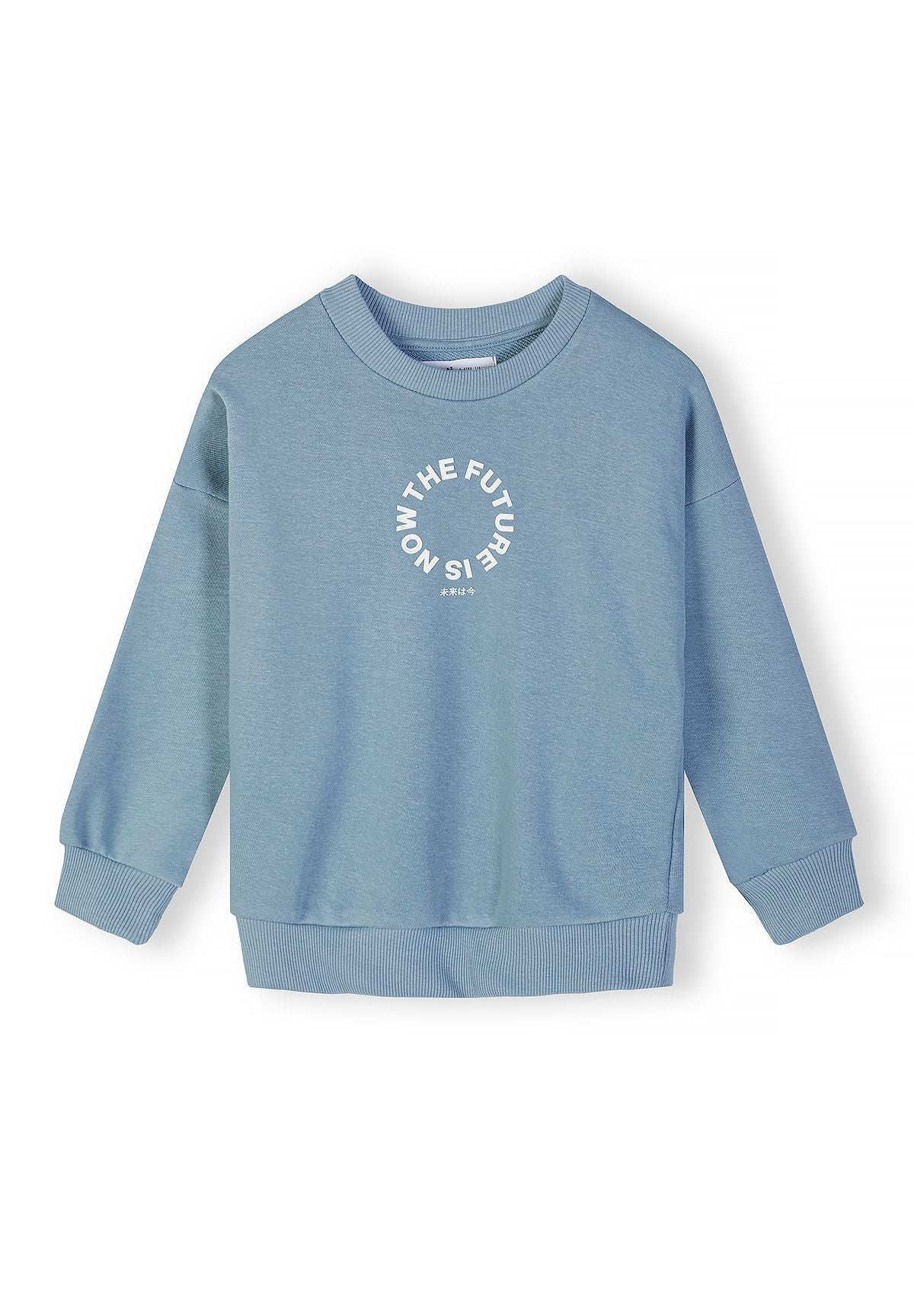 Boys blue sweatshirt with crew neck and ribbed cuffs, front view.