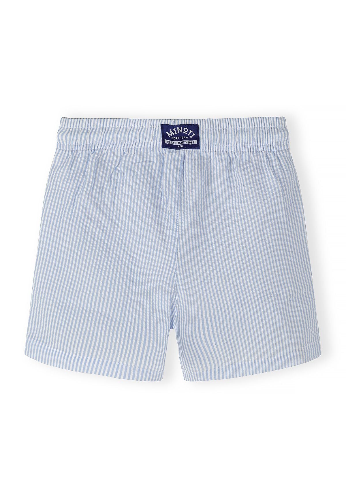 Blue/white and green/white swim shorts, blue back.