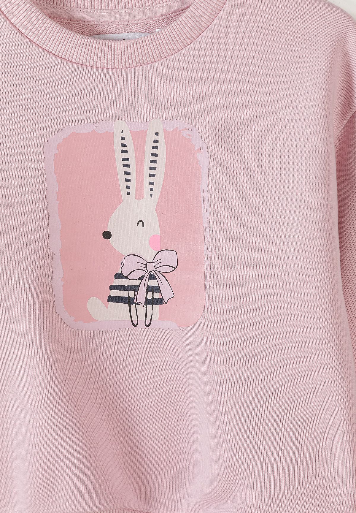 Sweatshirt 2-Pack, Bunny & Bow Print, Pink Beige - 7