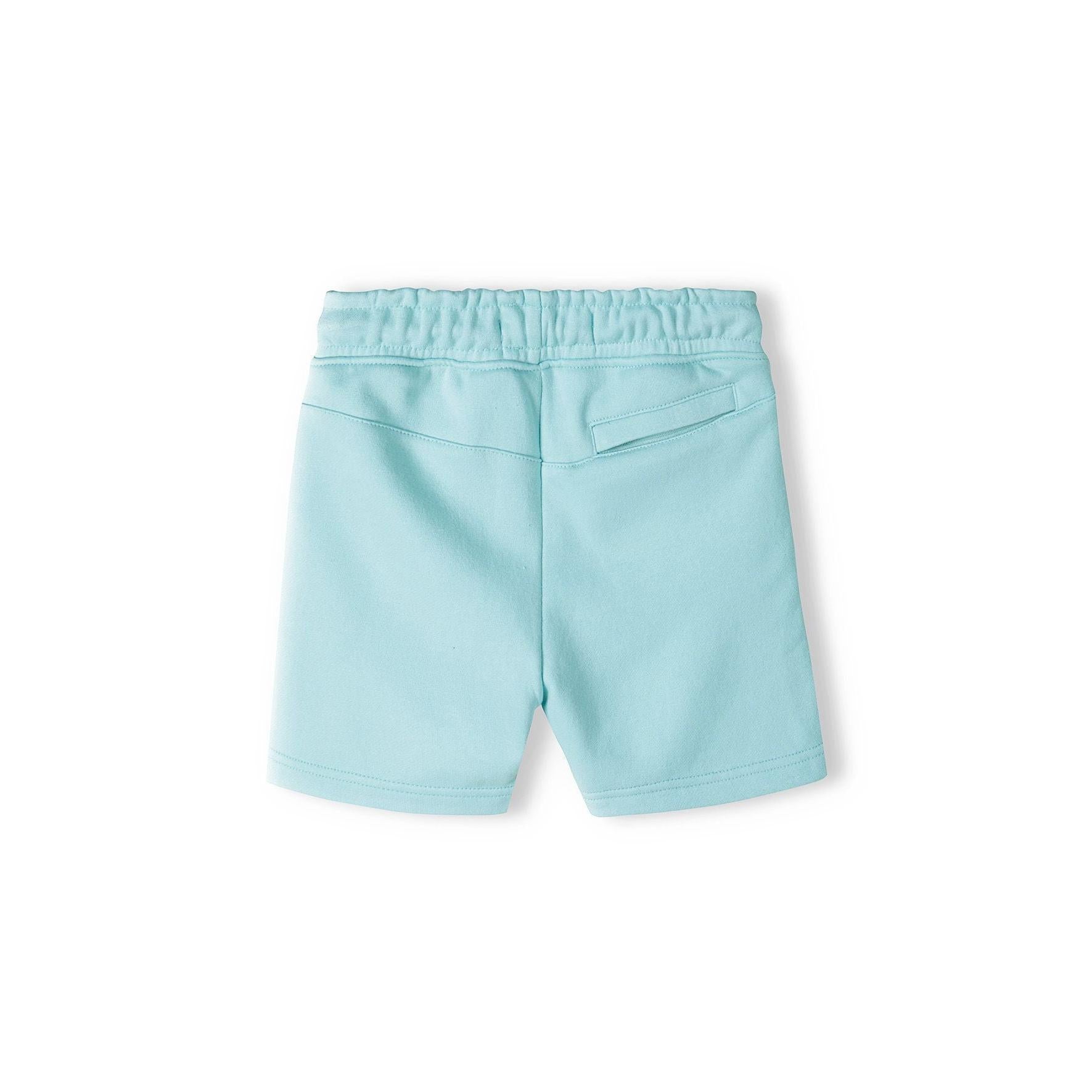 Back view of turquoise fleece shorts laid flat showing zip back pocket, elasticated waistband and overall construction details
