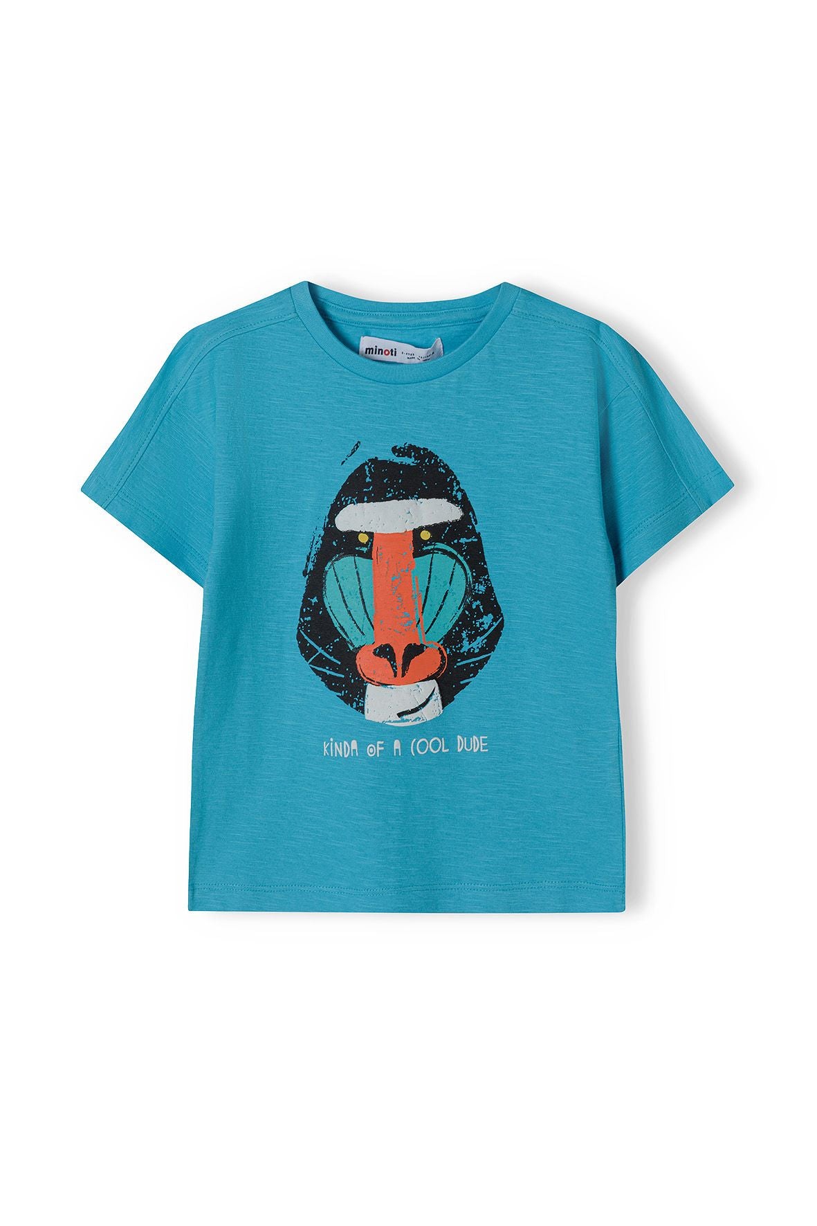 Oversized Slub T-Shirt, Baboon Print, Turquoise - 2