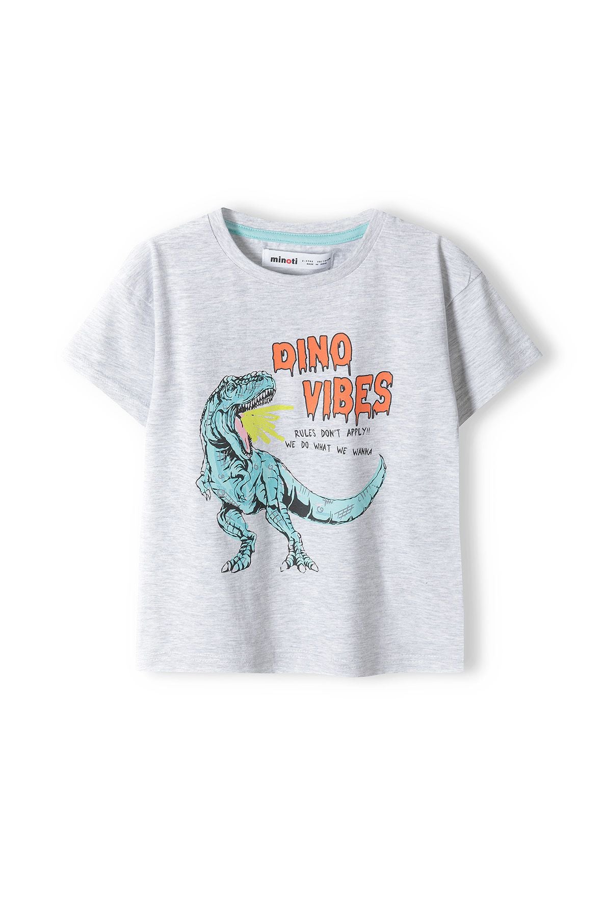 Short Sleeve T-Shirt, Grey Dino Vibes - 1