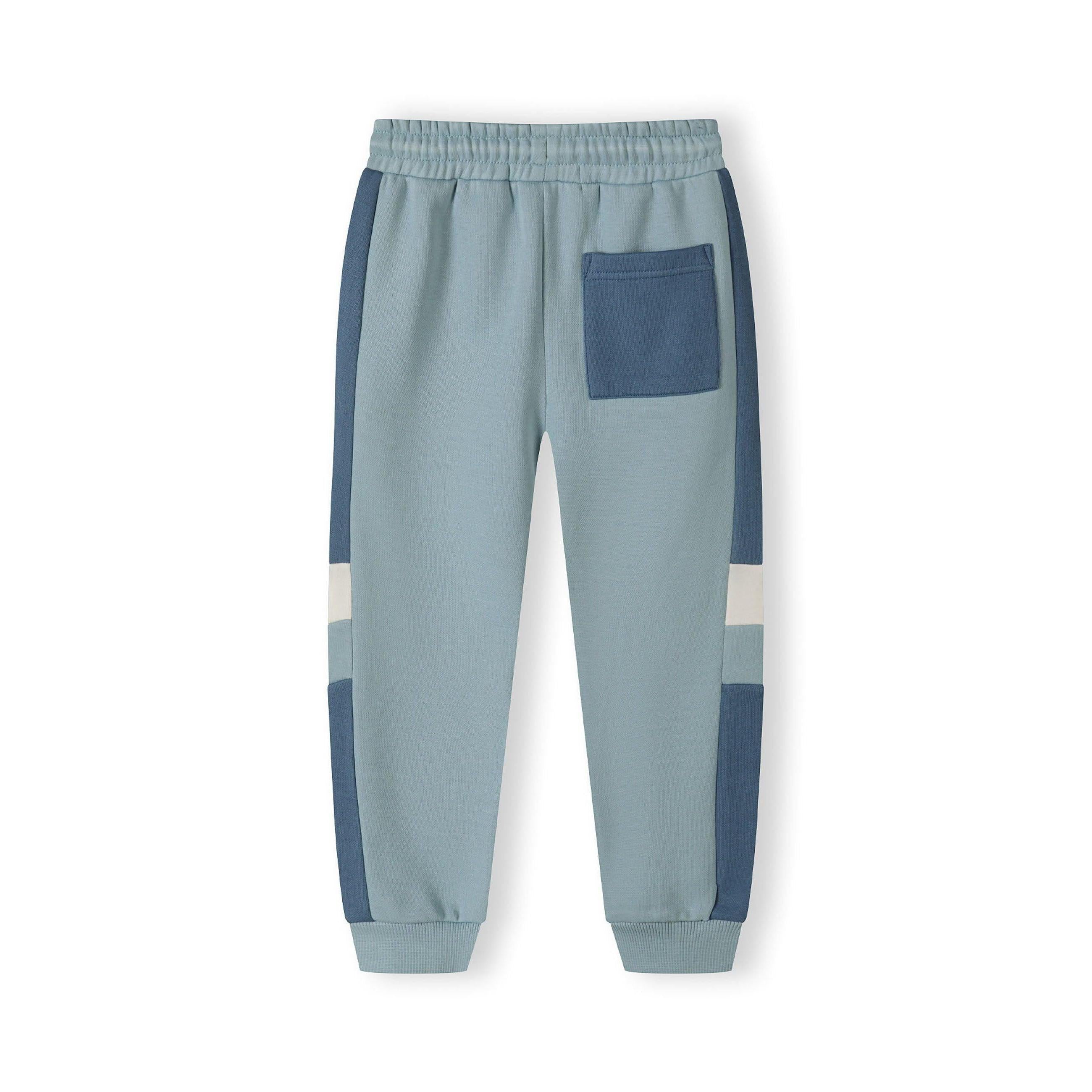 Close-up detail of blue joggers showing drawstring waistband and soft fabric texture