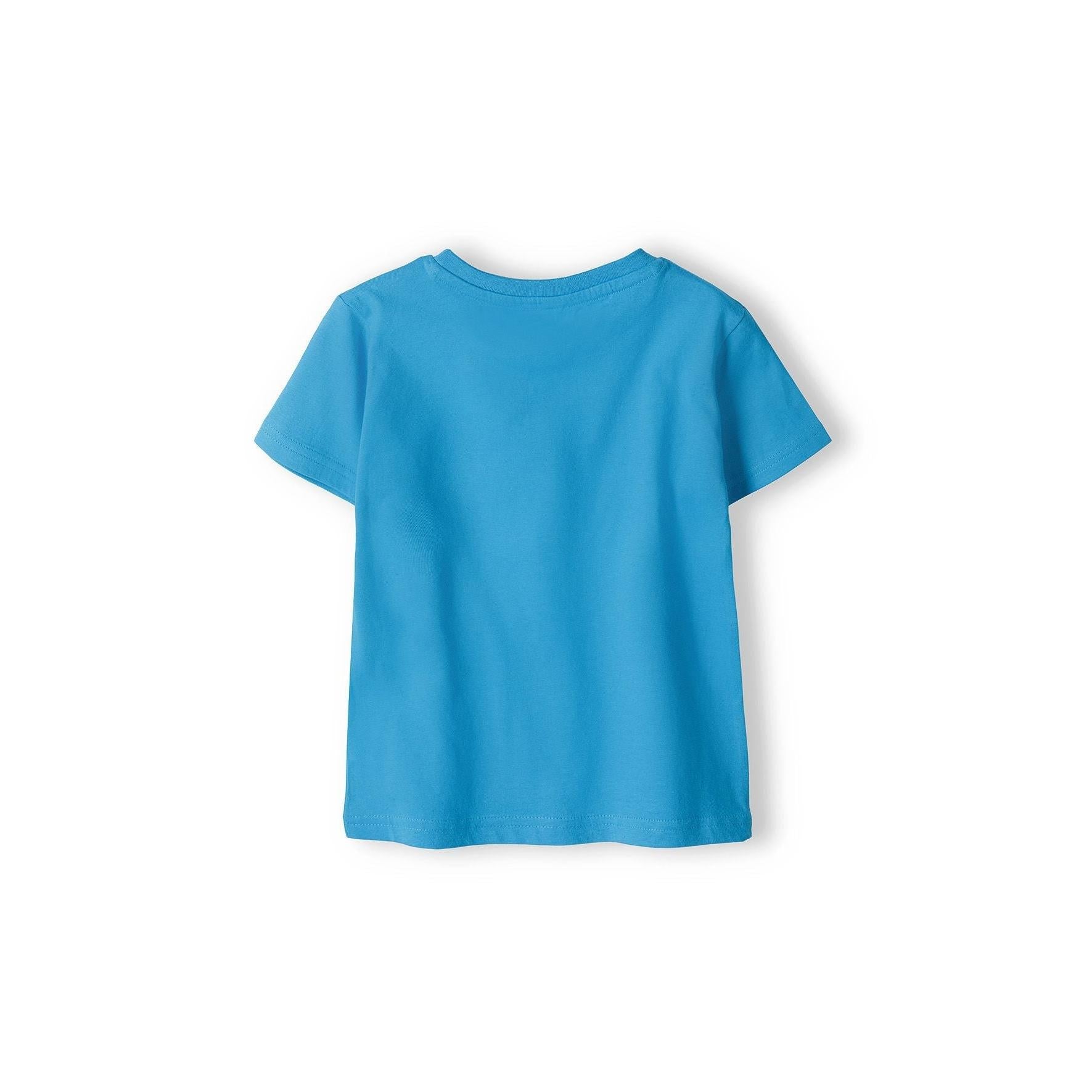 Back view of plain turquoise t-shirt showing solid colour and clean finish on white background