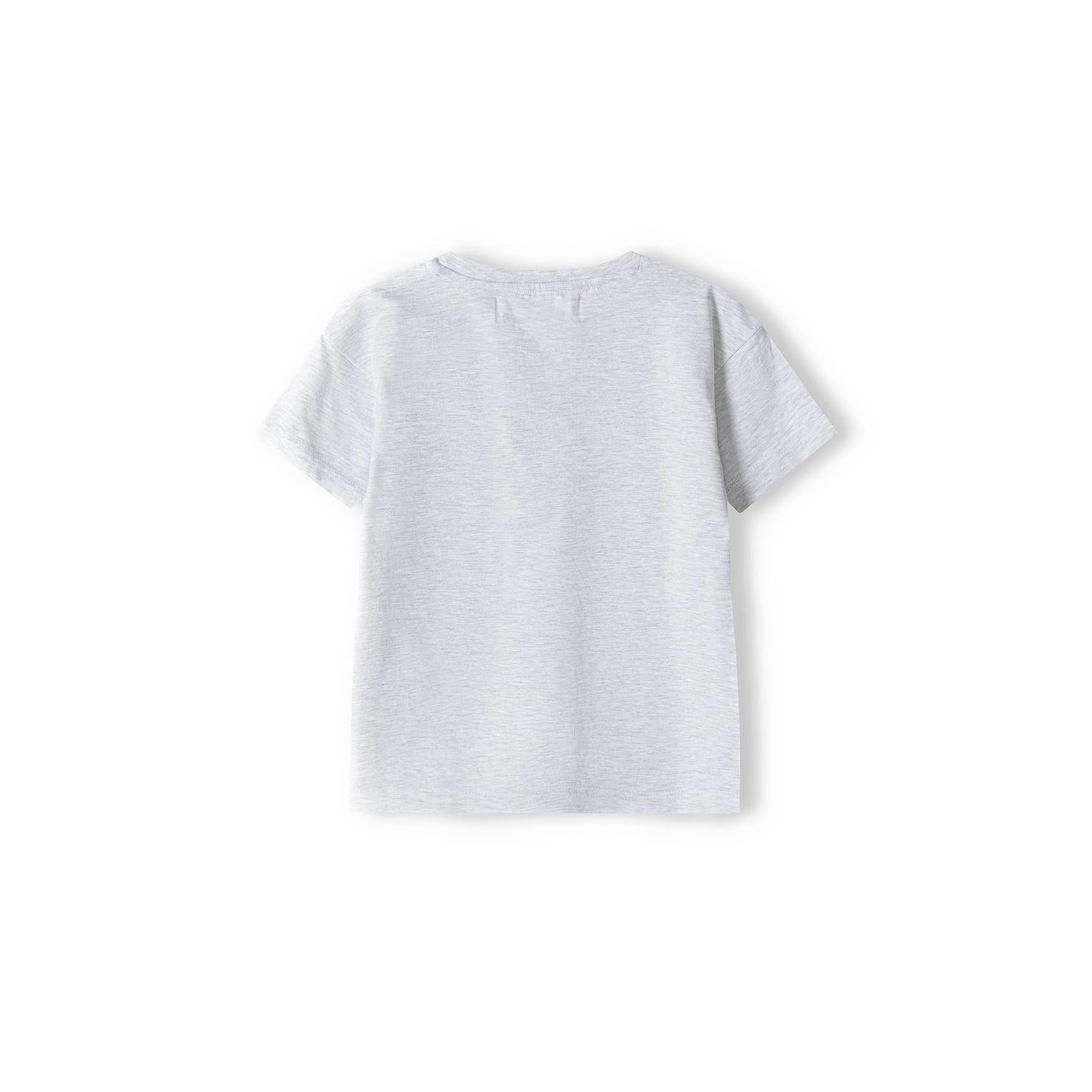 Back view of plain grey t-shirt showing smooth fabric texture and classic crew neck construction on white background