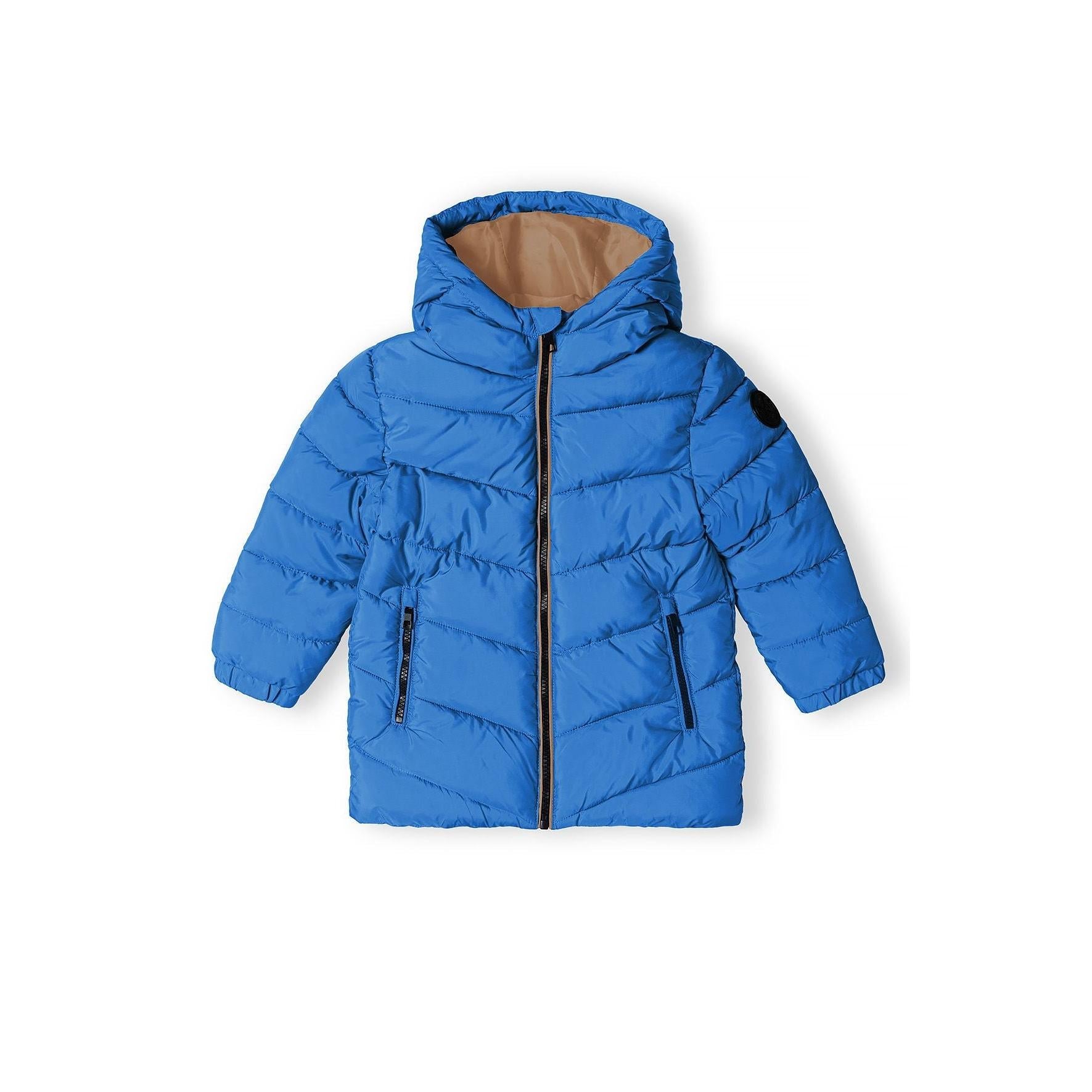 Back view of cobalt blue padded jacket showing quilted design, hood, and overall silhouette on white background