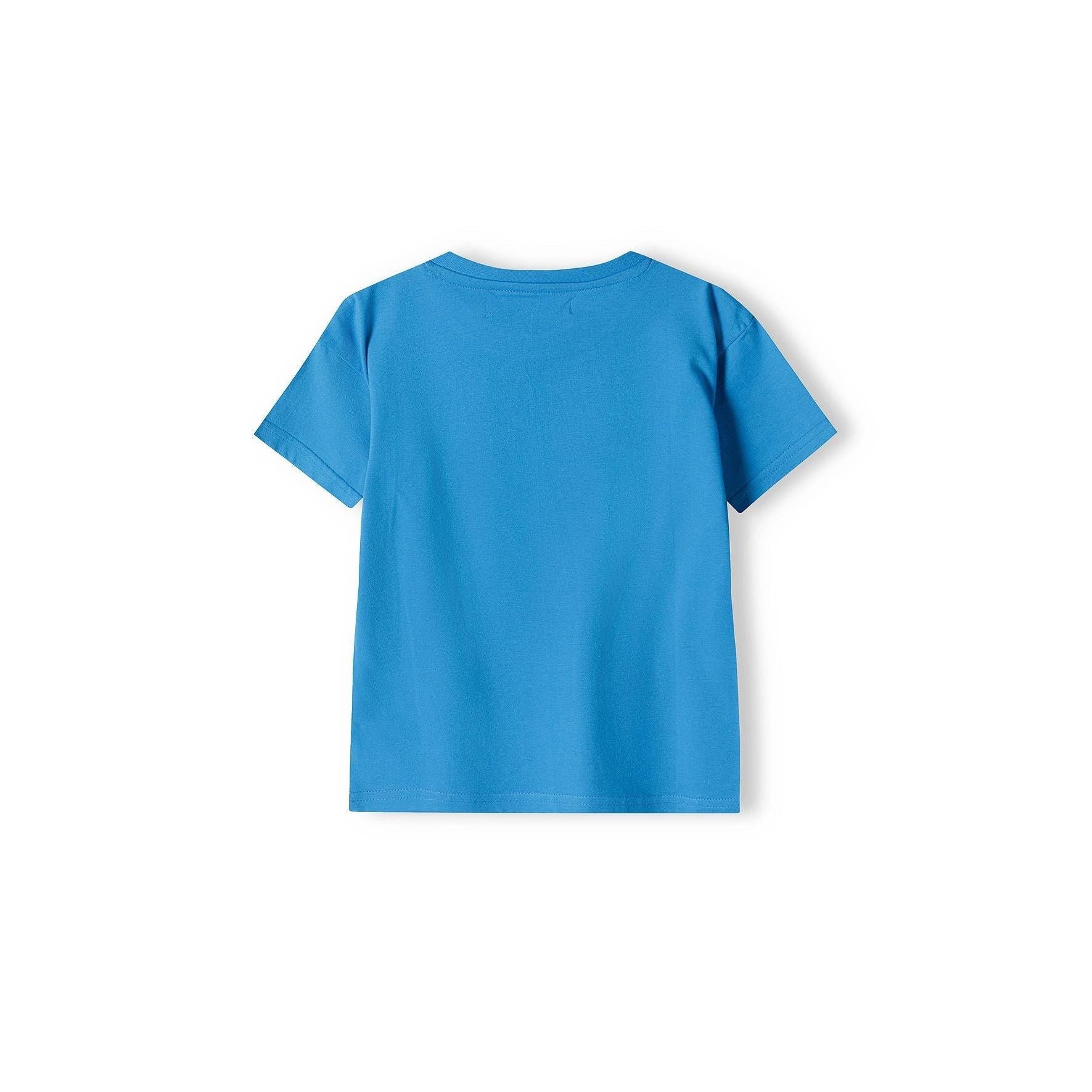 Back view of plain blue t-shirt showing crew neck and short sleeve construction on white background