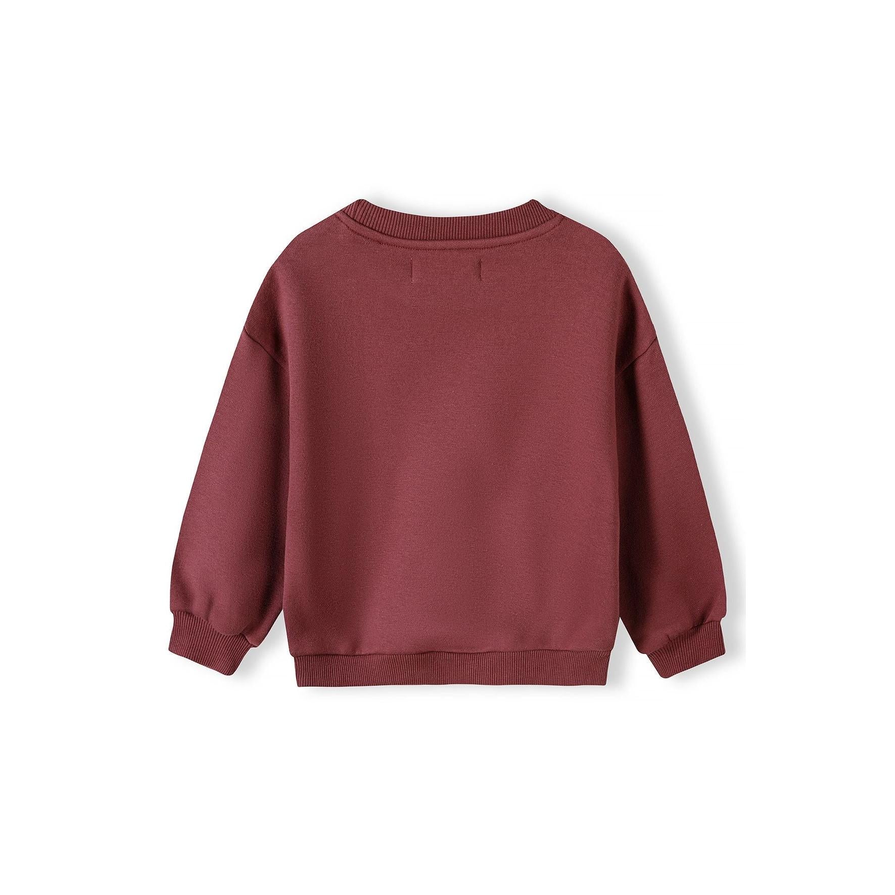 Back view of burgundy crew sweatshirt showing ribbed collar, balloon sleeves and ribbed hem against white background