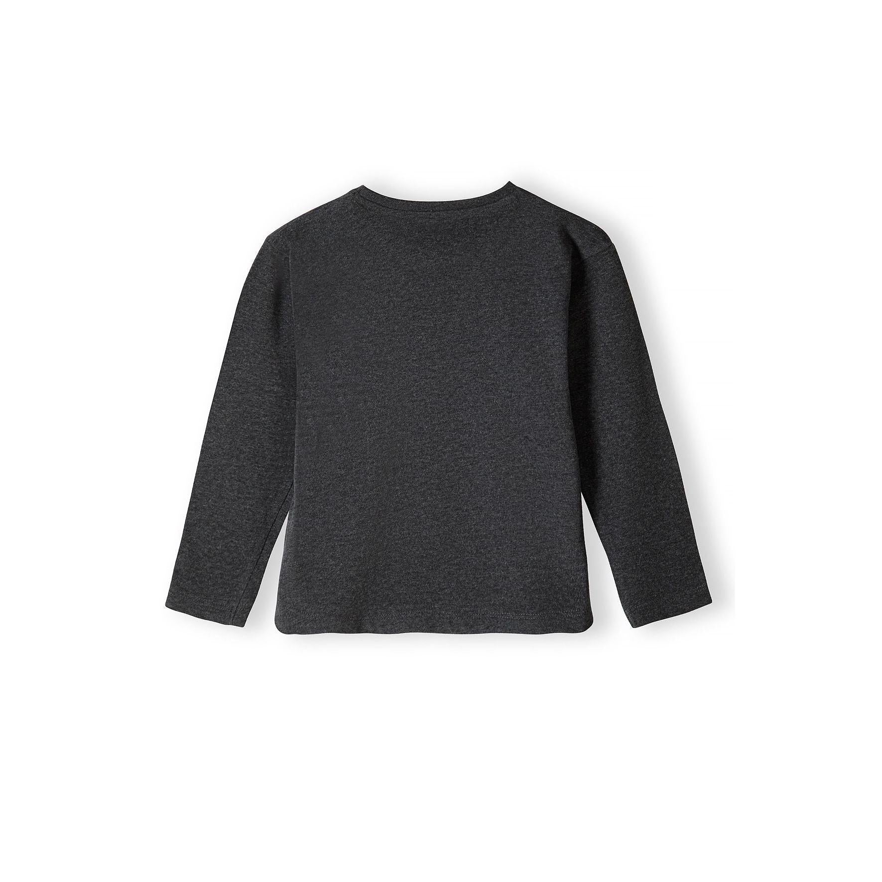 Back view of grey long sleeve t-shirt showing plain design without graphics on white background