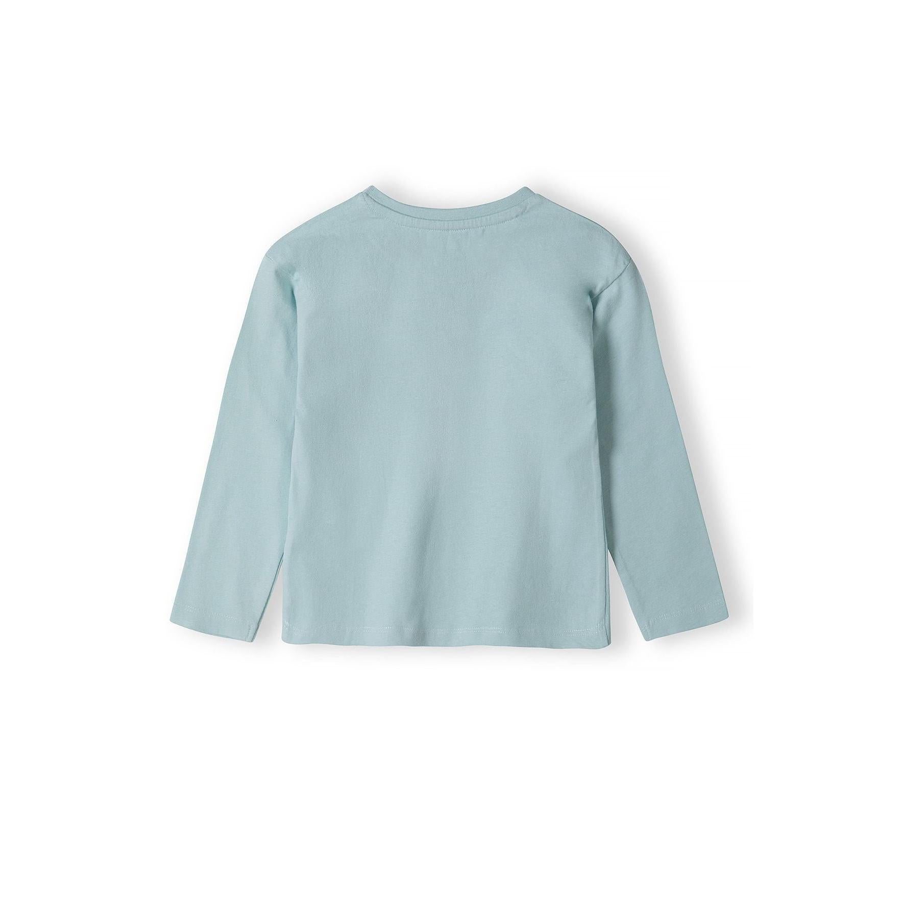 Back view of mint long sleeve t-shirt showing plain design and relaxed fit on white background