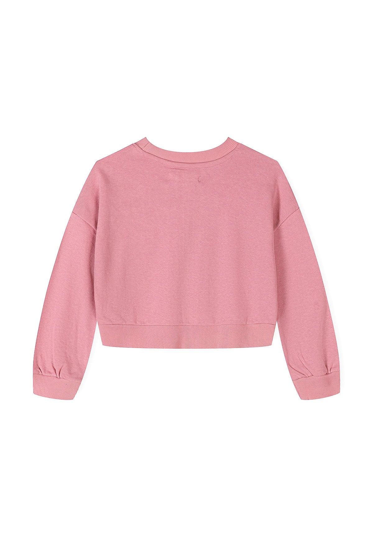 A dusty pink cropped sweatshirt with long sleeves and a crew neck, shown from the back on a plain white background.