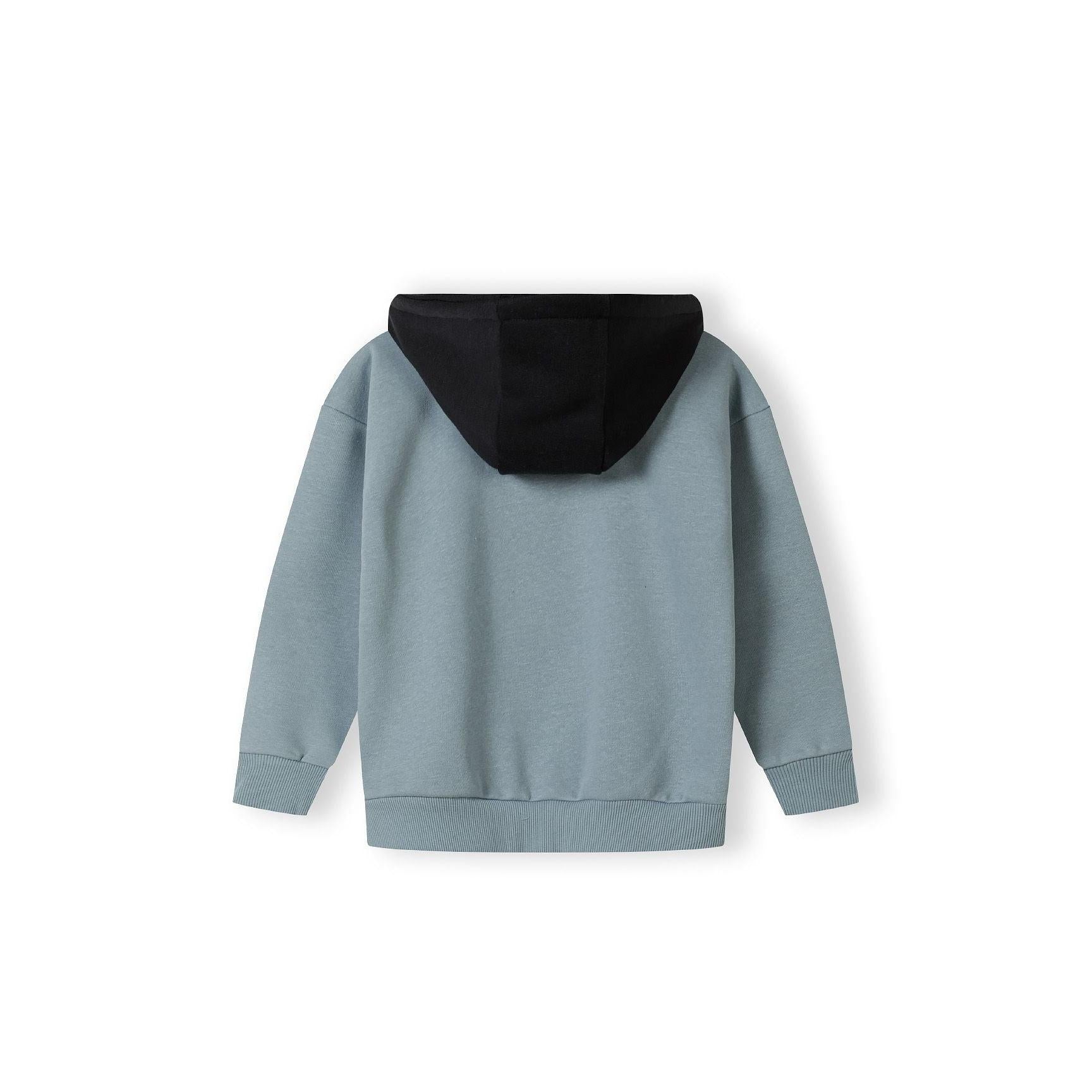 Light blue hoodie laid flat showing back view with black hood and ribbed hem and cuffs