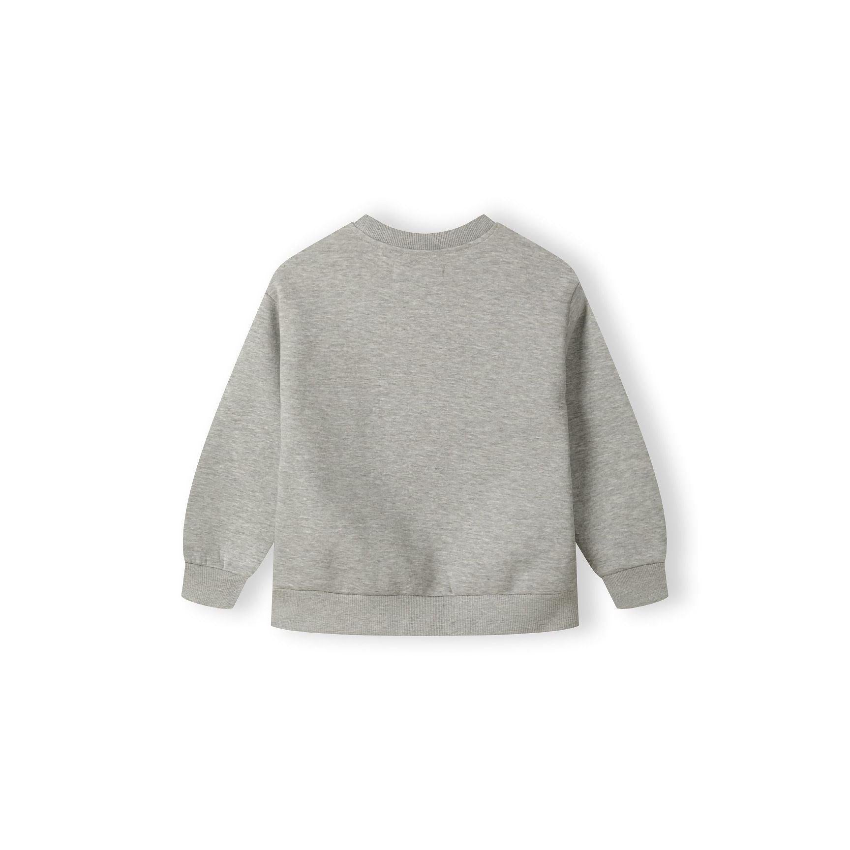 Back view of grey crew neck sweatshirt showing plain design with ribbed collar, cuffs and hem