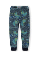 Boys pyjamas 2 pack long sleeve legging navy 2-14y featuring butterfly print, elastic waistband, comfortable fit.