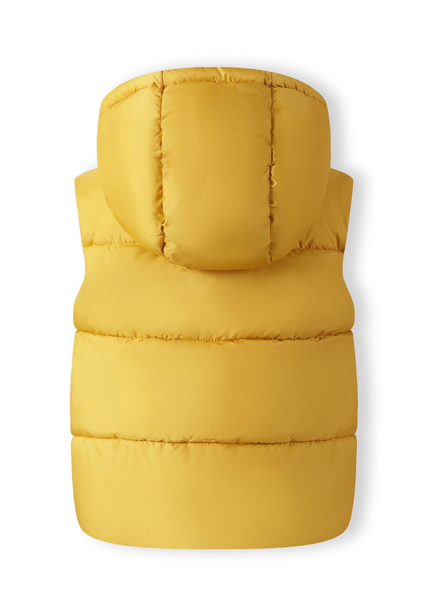 Boys mustard gilet with hood, back view, featuring quilted design and elasticated hem.