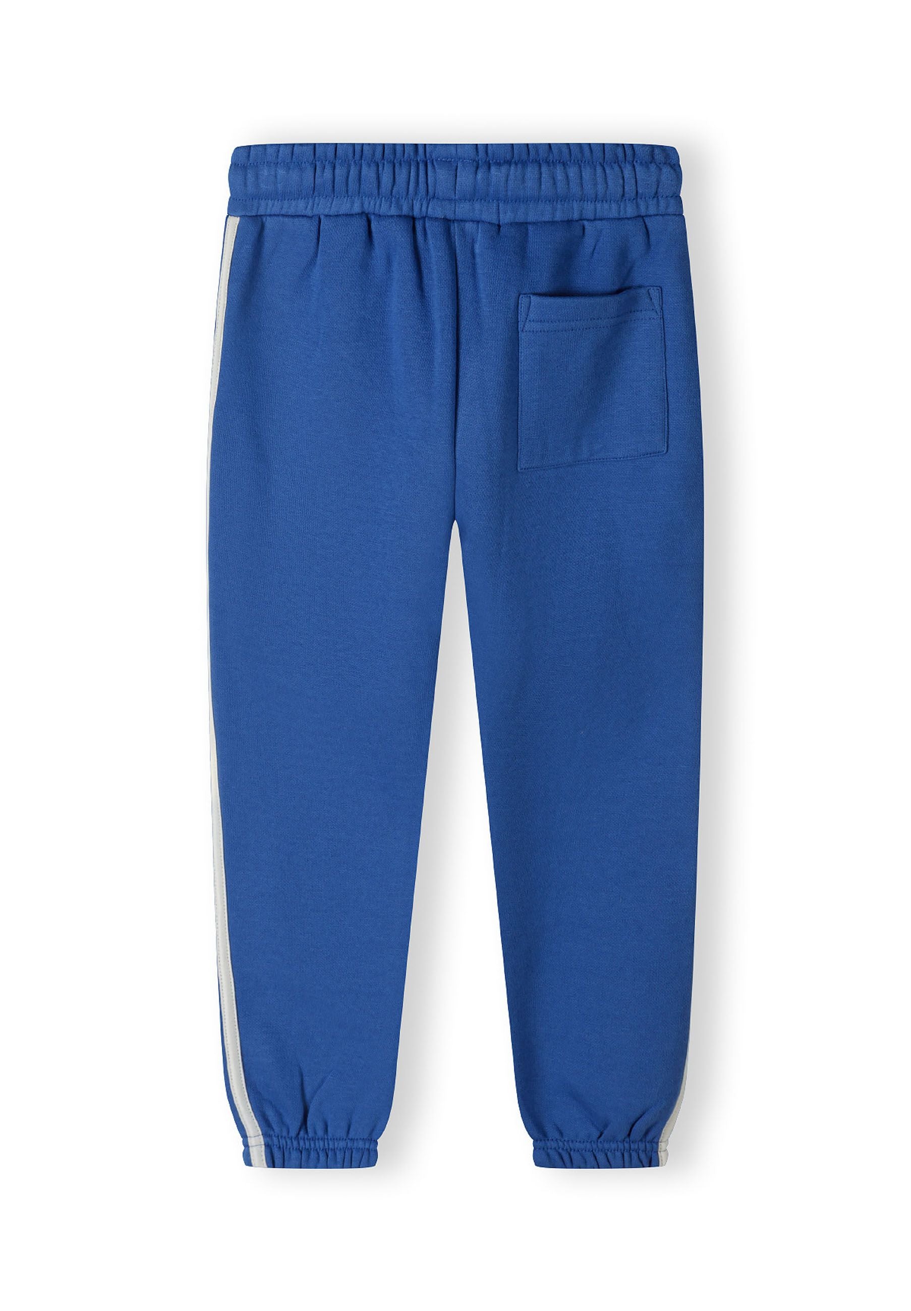 Cobalt blue joggers with adjustable waistband and side pockets, back view.