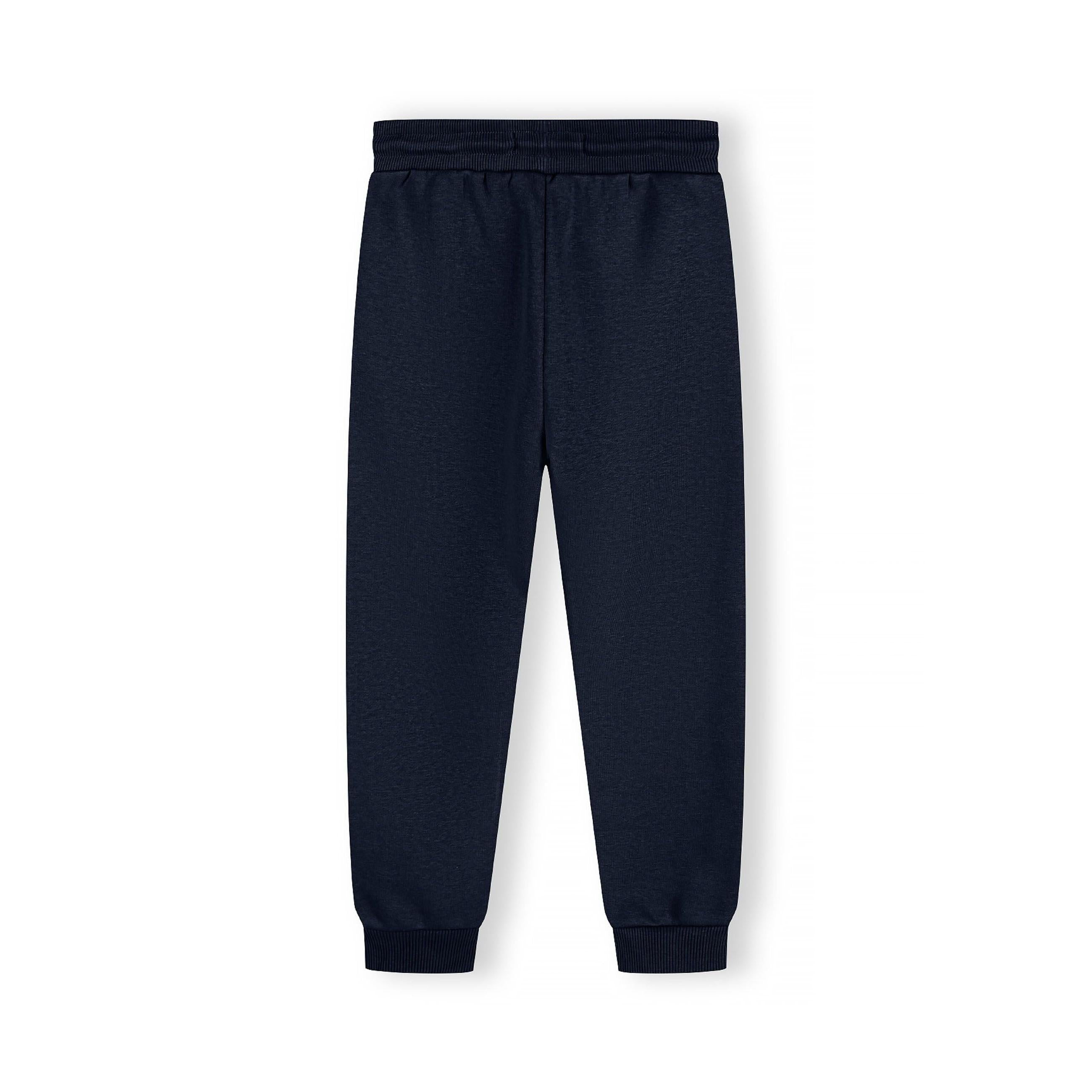 Back view of grey Minoti joggers showing ribbed waistband, side pockets and elasticated ankle cuffs on white background