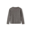 Boys grey fine knit crew neck jumper, back view.