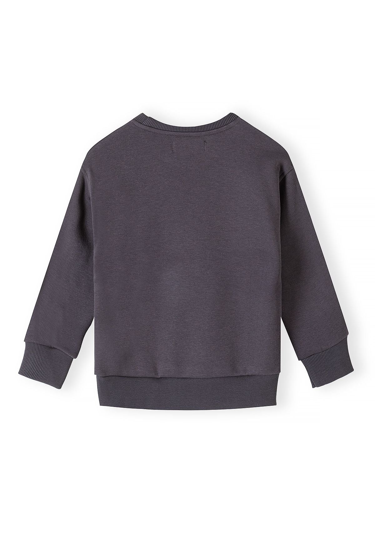 Blaue und anthrazitfarbene Sweatshirts mit Aufdruck für Jungen (2er-Pack), anthrazitfarbenes Sweatshirt, Rückseite.