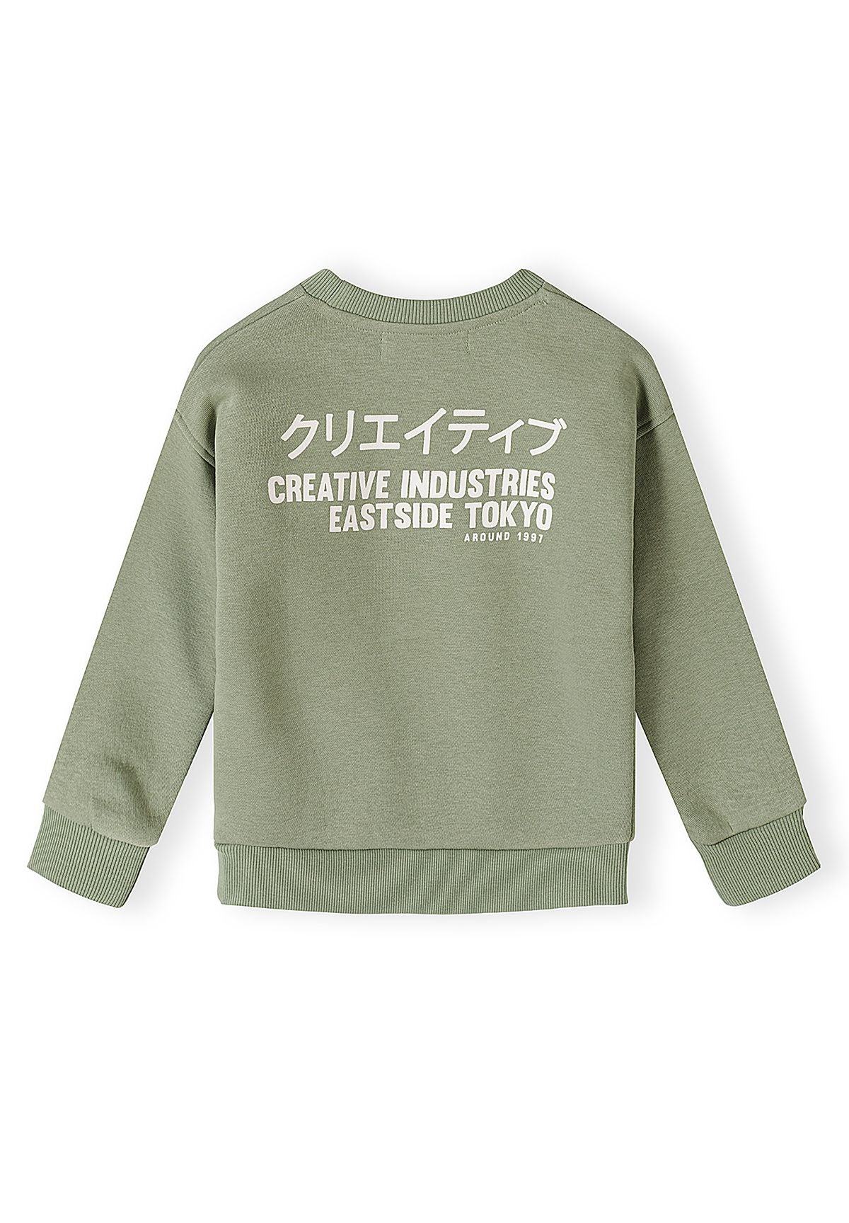 Survêtement pour garçon composé d'un sweat-shirt vert sauge et d'un pantalon de jogging cargo noir, vue arrière du sweat-shirt.