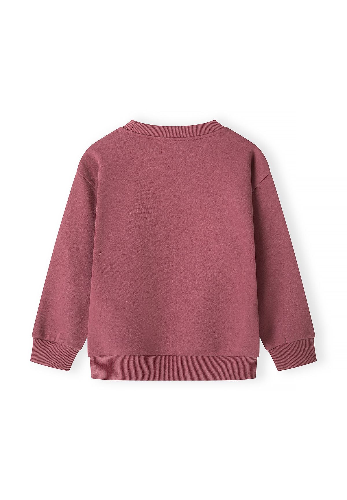 Kinder-sweatshirts met print in bordeauxrood en blauw (set van 2), bordeauxrood sweatshirt, achterkant.