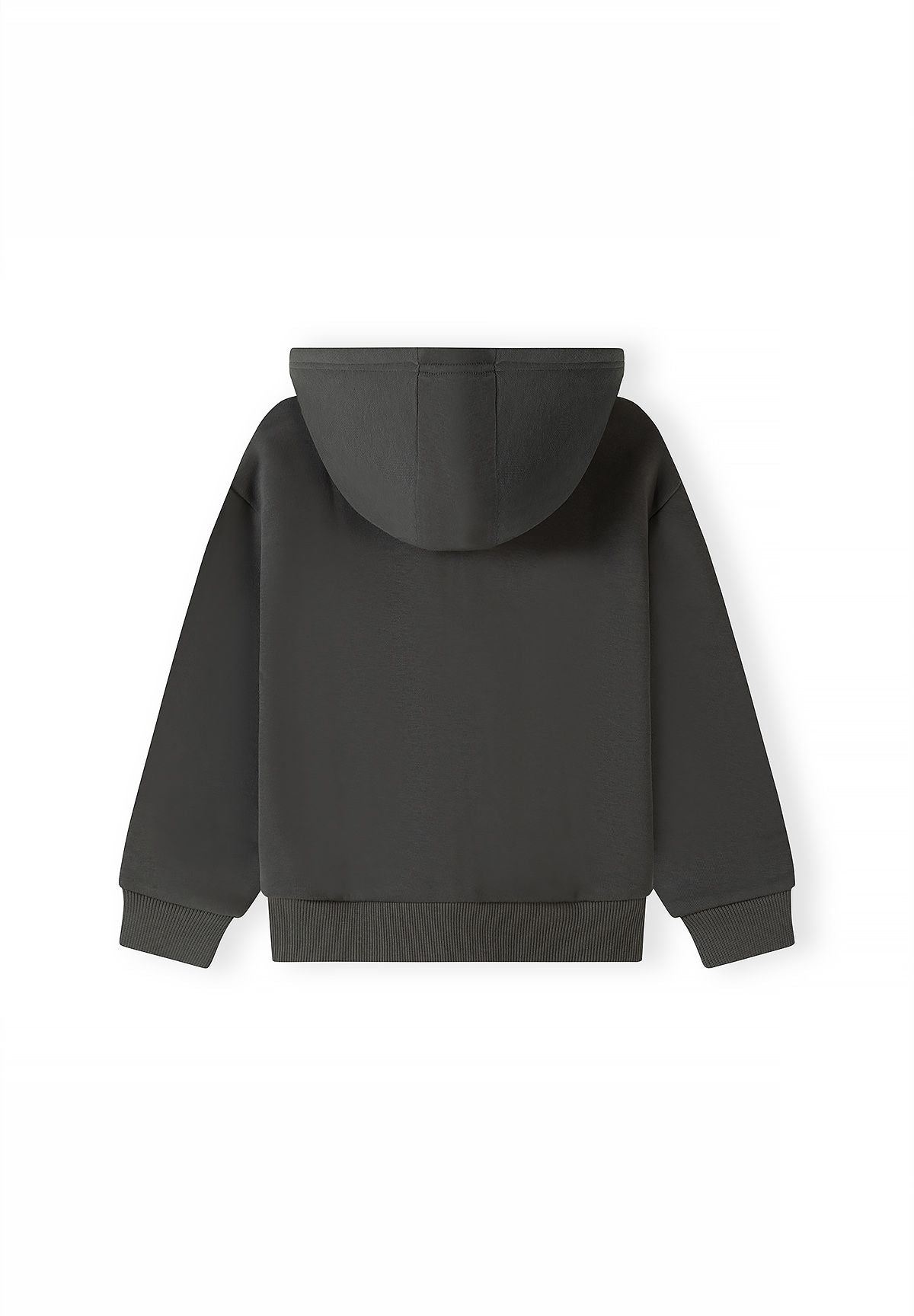 Plain back of khaki-grey hoodie with seamed hood and ribbed lower band.