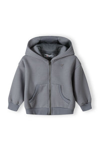 Color: Gris
