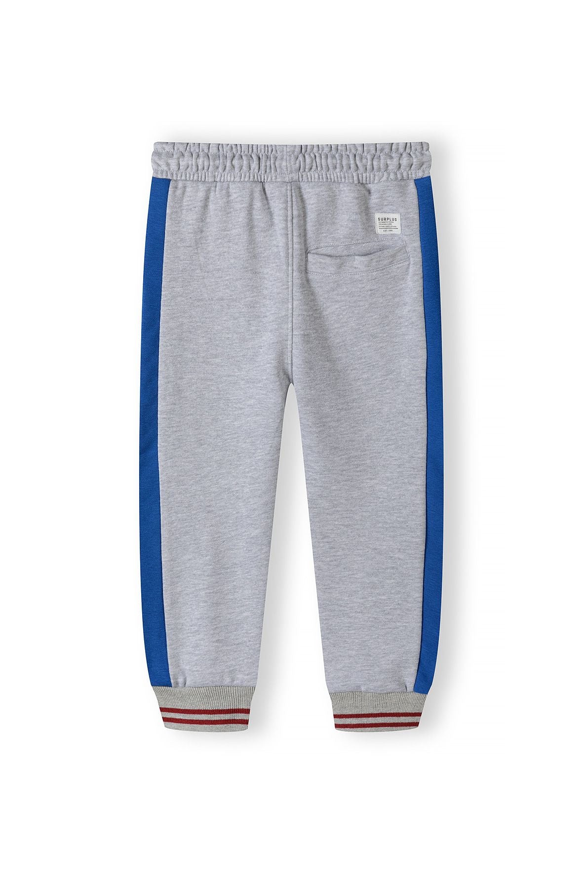 Fleece Joggers, Grey with Blue Side Panels - 2
