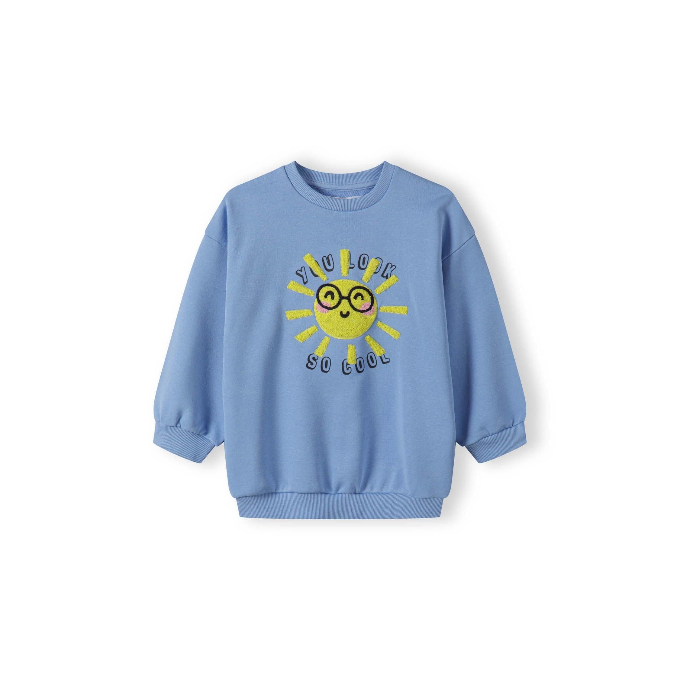 Back view of light blue fleece sweatshirt showing plain design with ribbed cuffs and hem on white background