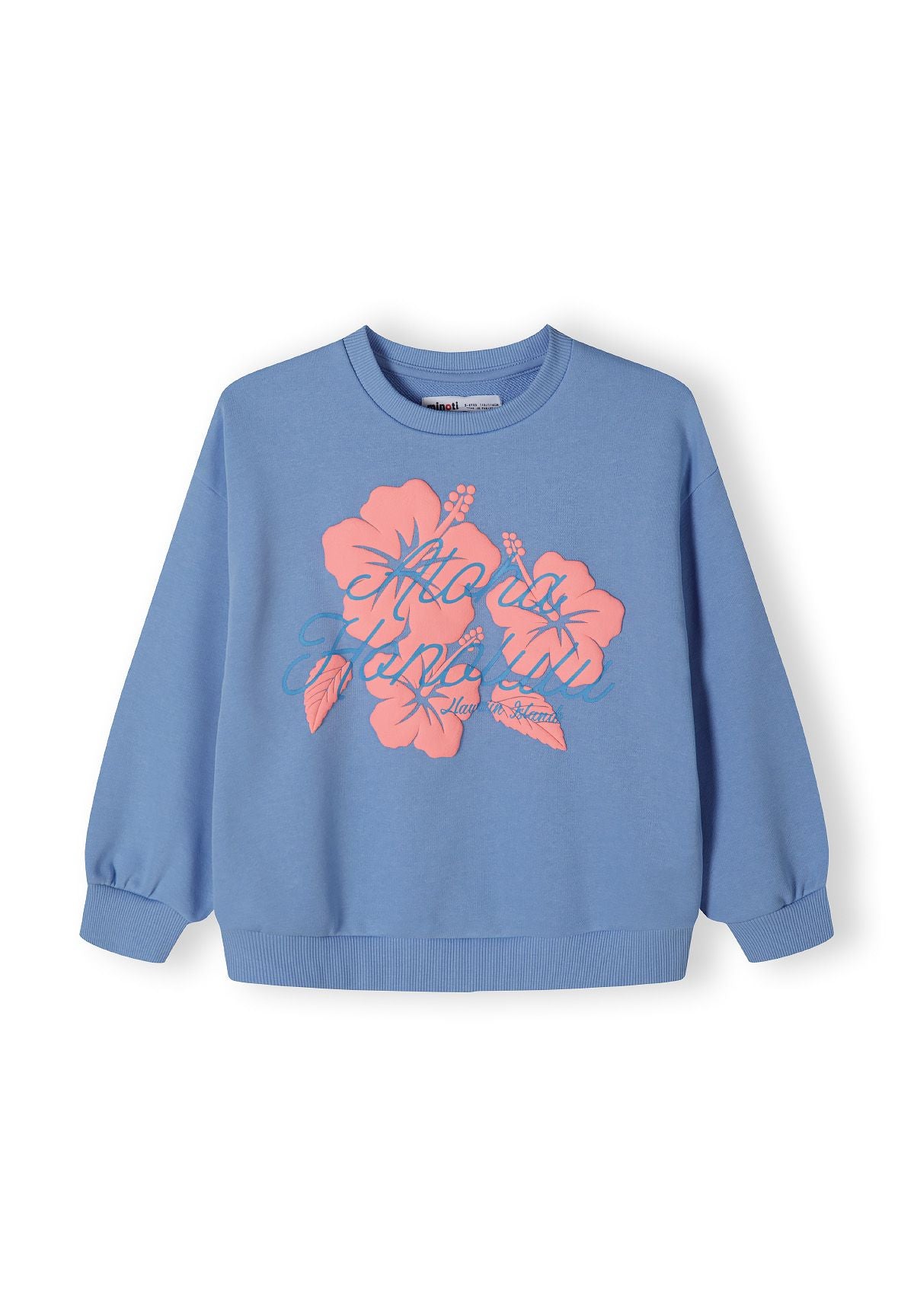 Blue crew neck sweatshirt, front.